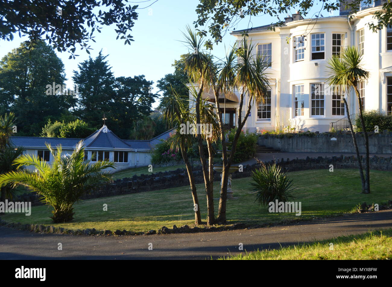 Exotische Bäume auf dem Gelände des Eigentums in Torquay, Devon. England Stockfoto