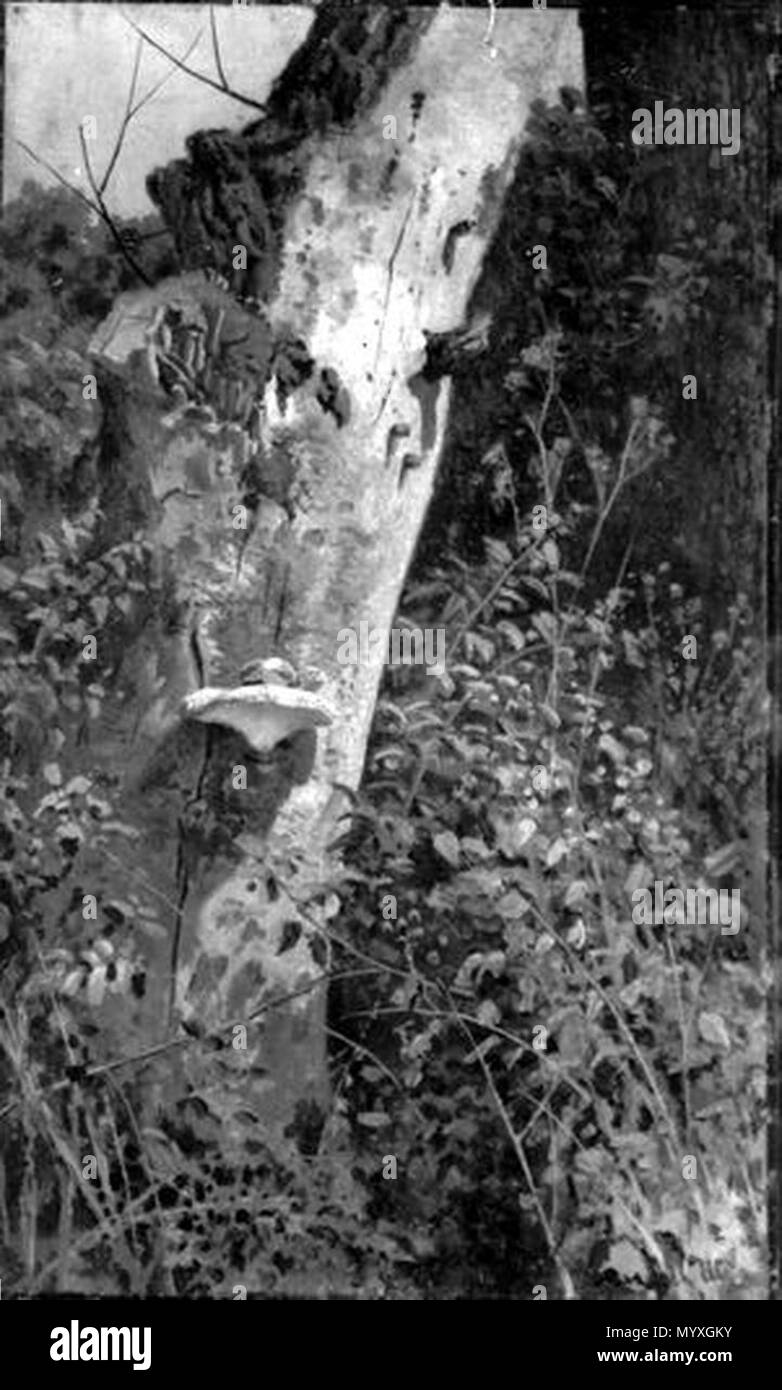 . Detail einer Wald. zweiten Hälfte des 19. Jahrhunderts 26 Detail eines Waldes (shishkin) Stockfoto