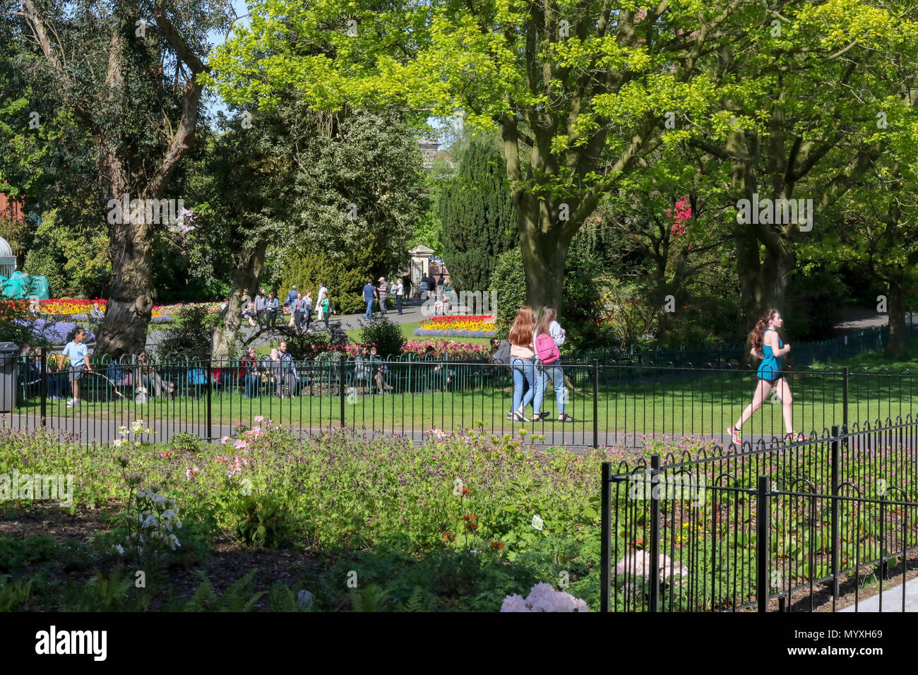 Jogger in einem Park und genießen Sie einen Tag in einem öffentlichen Park in Großbritannien. Blumen, Sträucher und die Menschen in den Park am Botanischen Garten in Belfast. Stockfoto