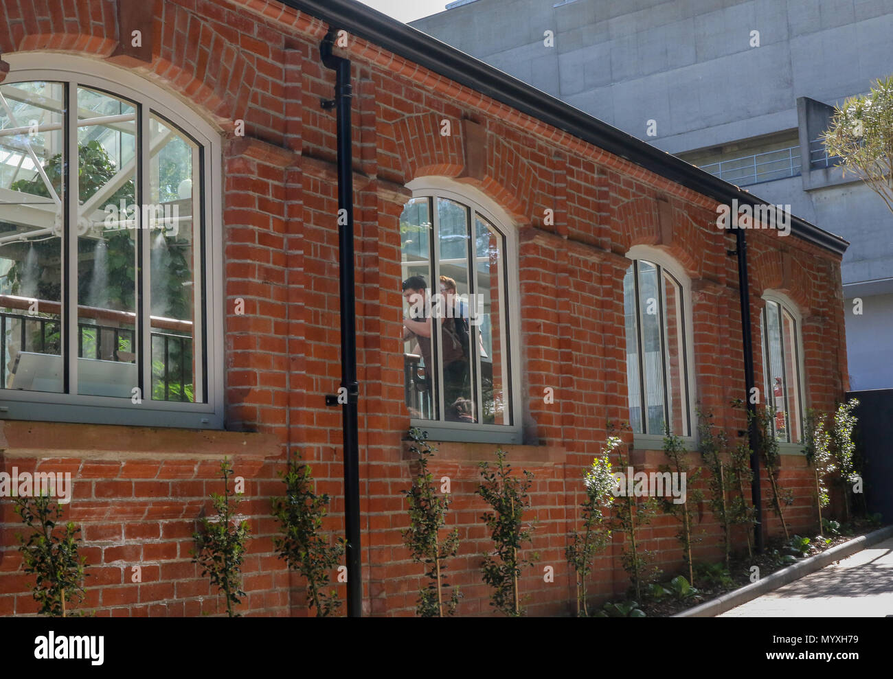 Die Besucher der Trpoical Schlucht in Belfast Blick durch die externen Fenster der denkmalgeschützten, viktorianischen Gebäude in Belfast. Stockfoto
