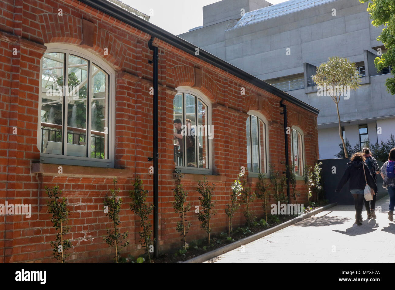 Ein Blick von außen auf die renovierte viktorianische tropische Schlucht im Botanischen Garten Belfast Nordirland. Das Ulster Museum ist im Hintergrund. Stockfoto