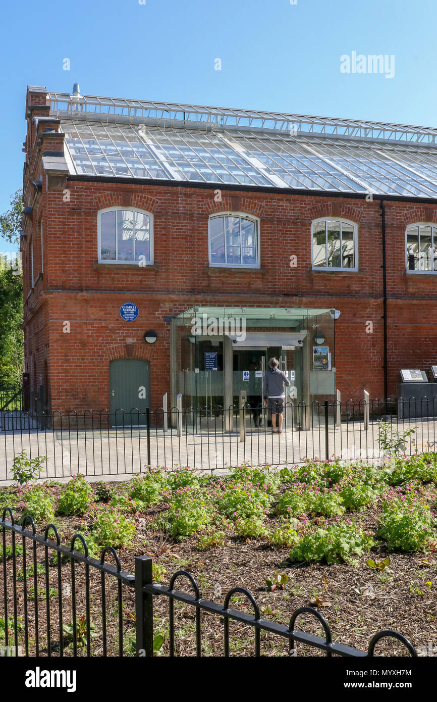 Ein Besucher in die Tropische Schlucht Botanic Gardens Belfast. Die Viktorianischen Glen und Gebäude wurde im Jahr 2018 renoviert. Stockfoto