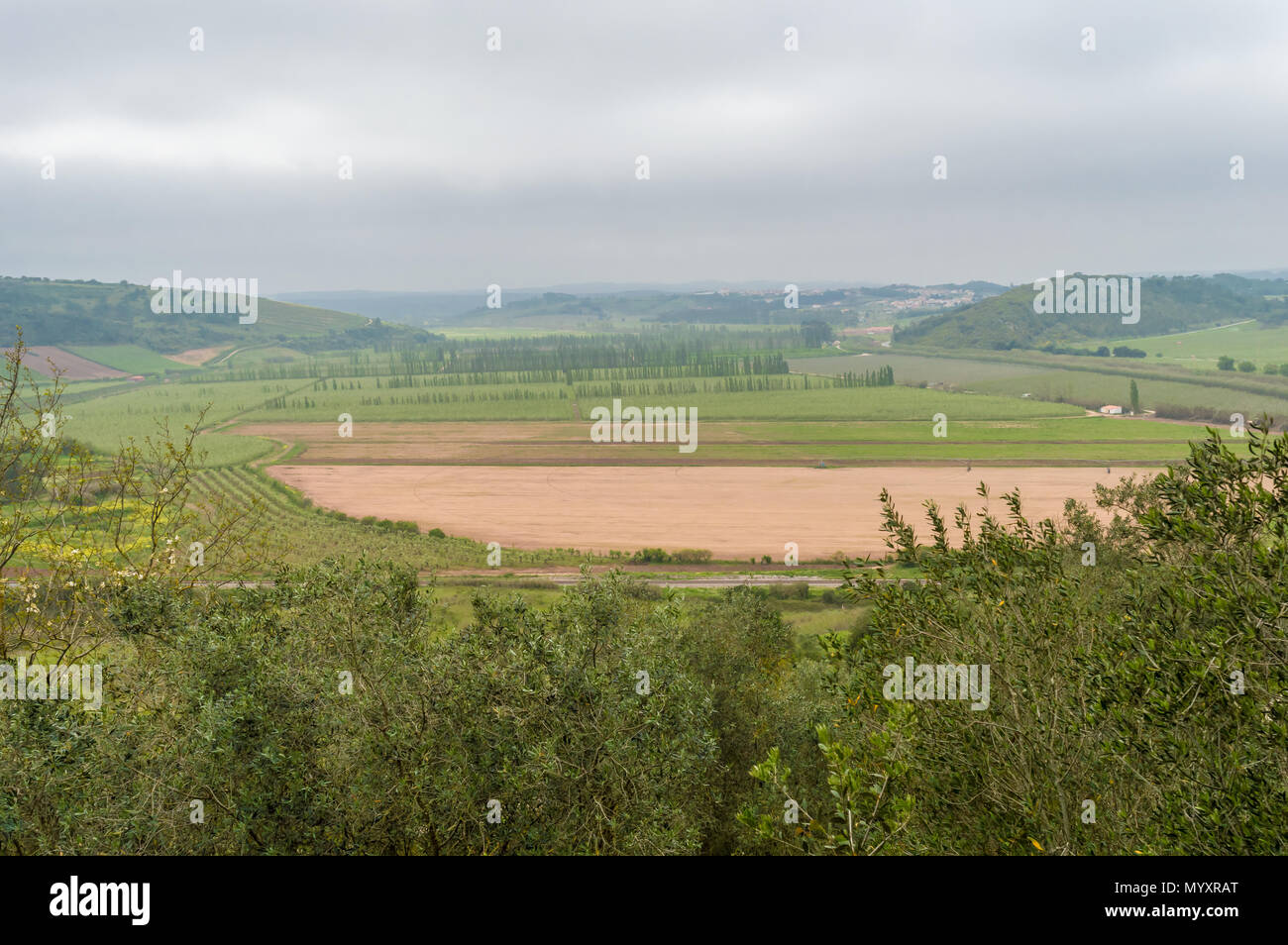 Hohen winkel Blick auf ein grünes Feld an einem bewölkten Tag Stockfoto