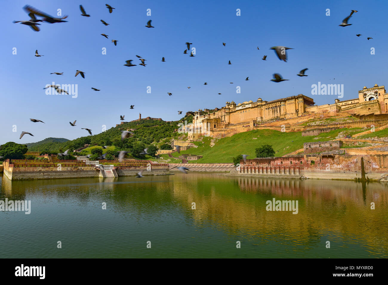 Amer Fort mit Reflexion über Wasser und Vögel, Jaipur, Indien Stockfoto