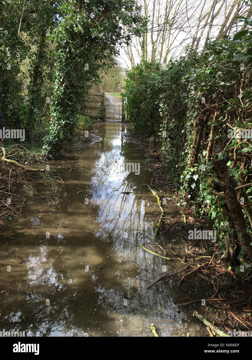 Überfluteten Wanderweg im East Hertfordshire Bishops Stortford Stockfoto