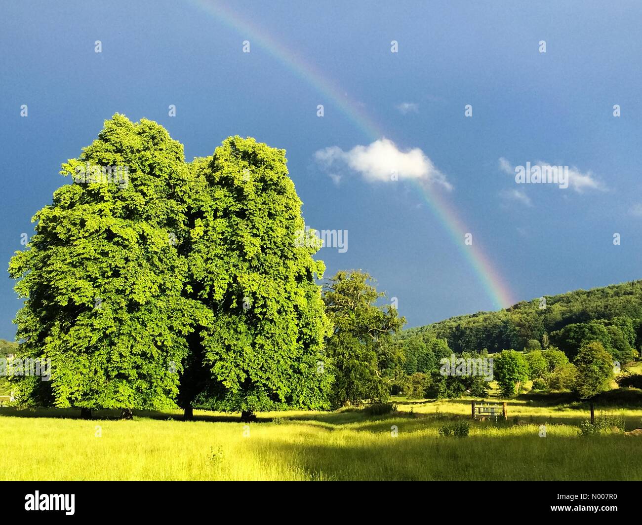 Rock House, Derby Rd, Cromford, Matlock, Derbyshire, UK. 29. Juni 2016. UK Wetter 29. Juni 2016 - Regenbogen und stürmischen Himmel in Cromford Meadows im Peak District Derbyshire England. Kräftige Schauer sollen klar mit einem helleren Tag am Donnerstag erwartet. Bildnachweis: Robert Morris/StockimoNews/Alamy Live-Nachrichten Stockfoto