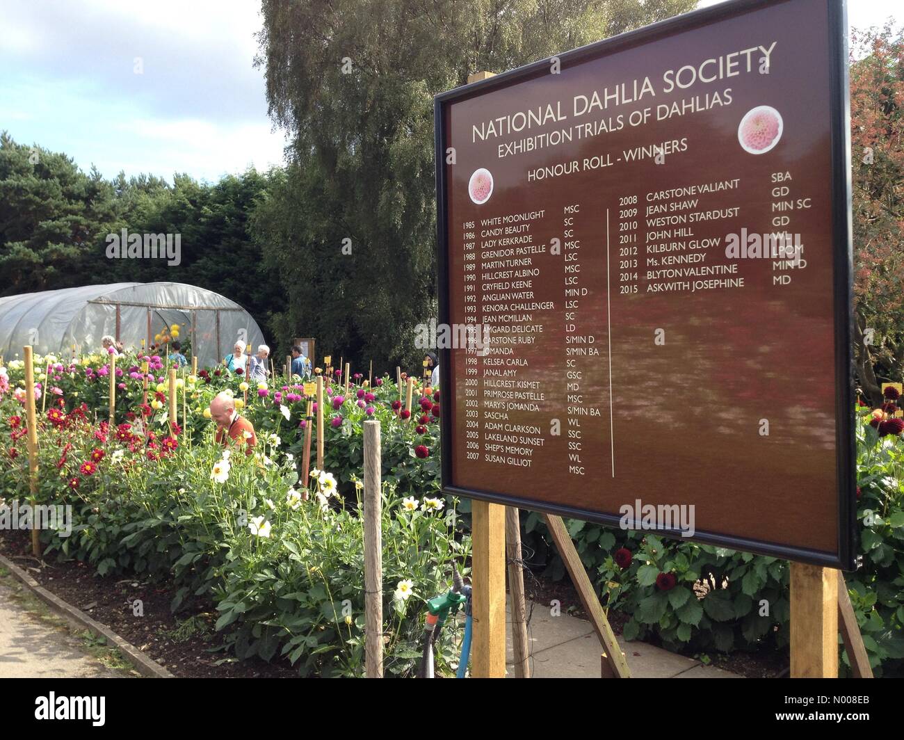 UK Wetter sonniger Tag in Leeds - ein sonniger Tag am Golden Acre Park in Leeds aus der jährlichen Dahlien Display glänzend aussehen und war ein Gesprächsthema für alle Besucher. Aufgenommen am 30. August 2016. Stockfoto