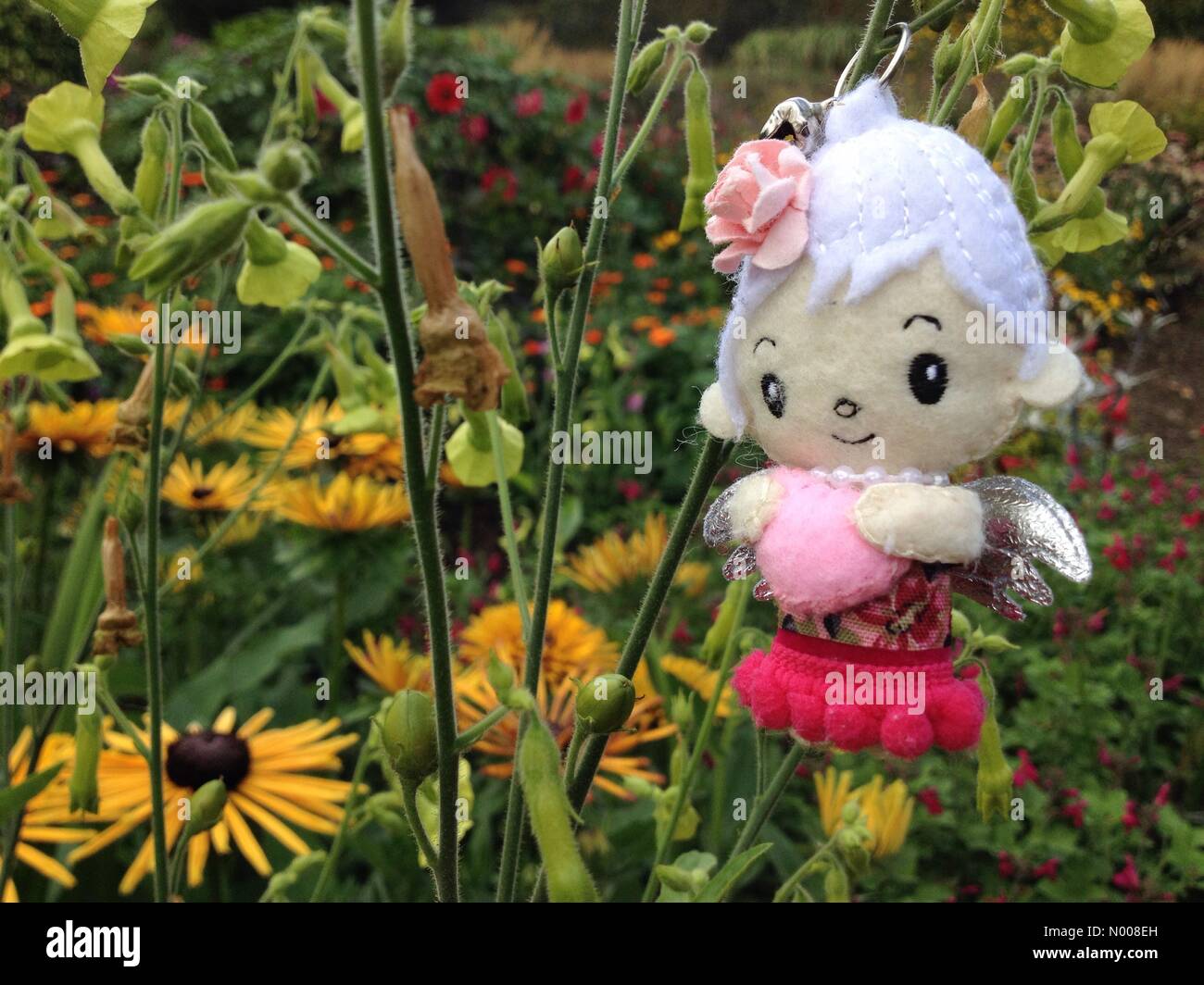 UK Wetter sonniger Tag in Leeds - ein sonniger Tag am Golden Acre Park in Leeds, West Yorkshire hatte eine Fee, einen Auftritt in den Blumengärten machen. Aufgenommen am 30. August 2016. Stockfoto