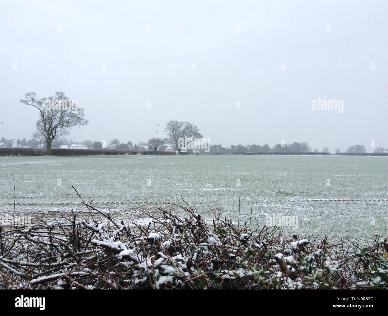 UK-Wetter - schlägt Schnee South Staffordshire. Stockfoto