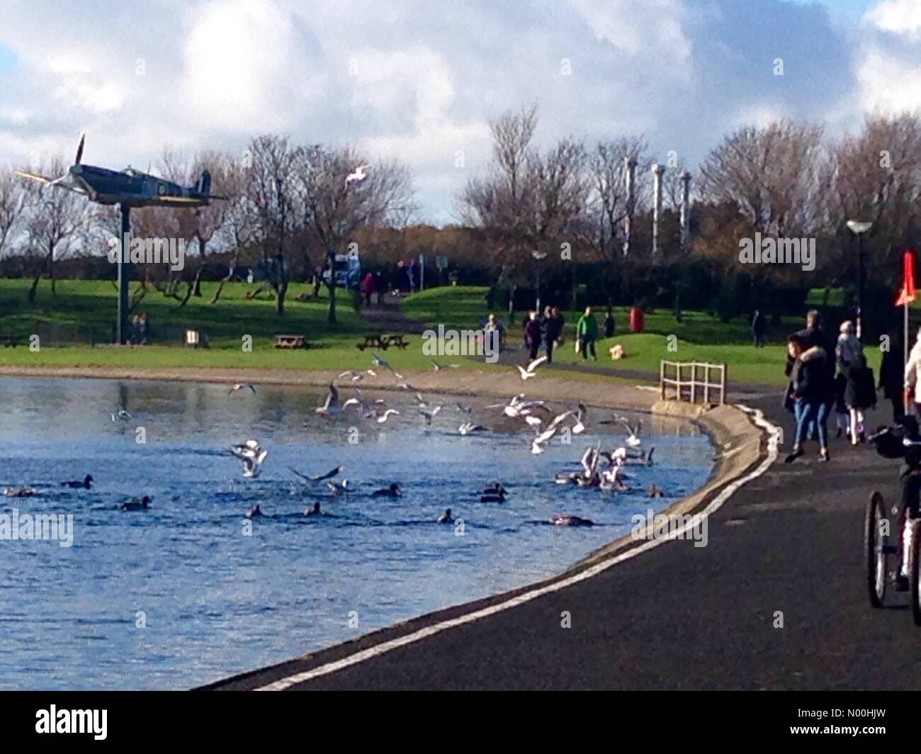 Lytham St. Annes, England. 05 Nov, 2017. Großbritannien Wetter. Möwen und spitfire im Herbst Sonnenschein fairhaven See, Lytham St Annes, Lancashire Credit: Roger Goodwin/stockimonews/alamy leben Nachrichten Stockfoto