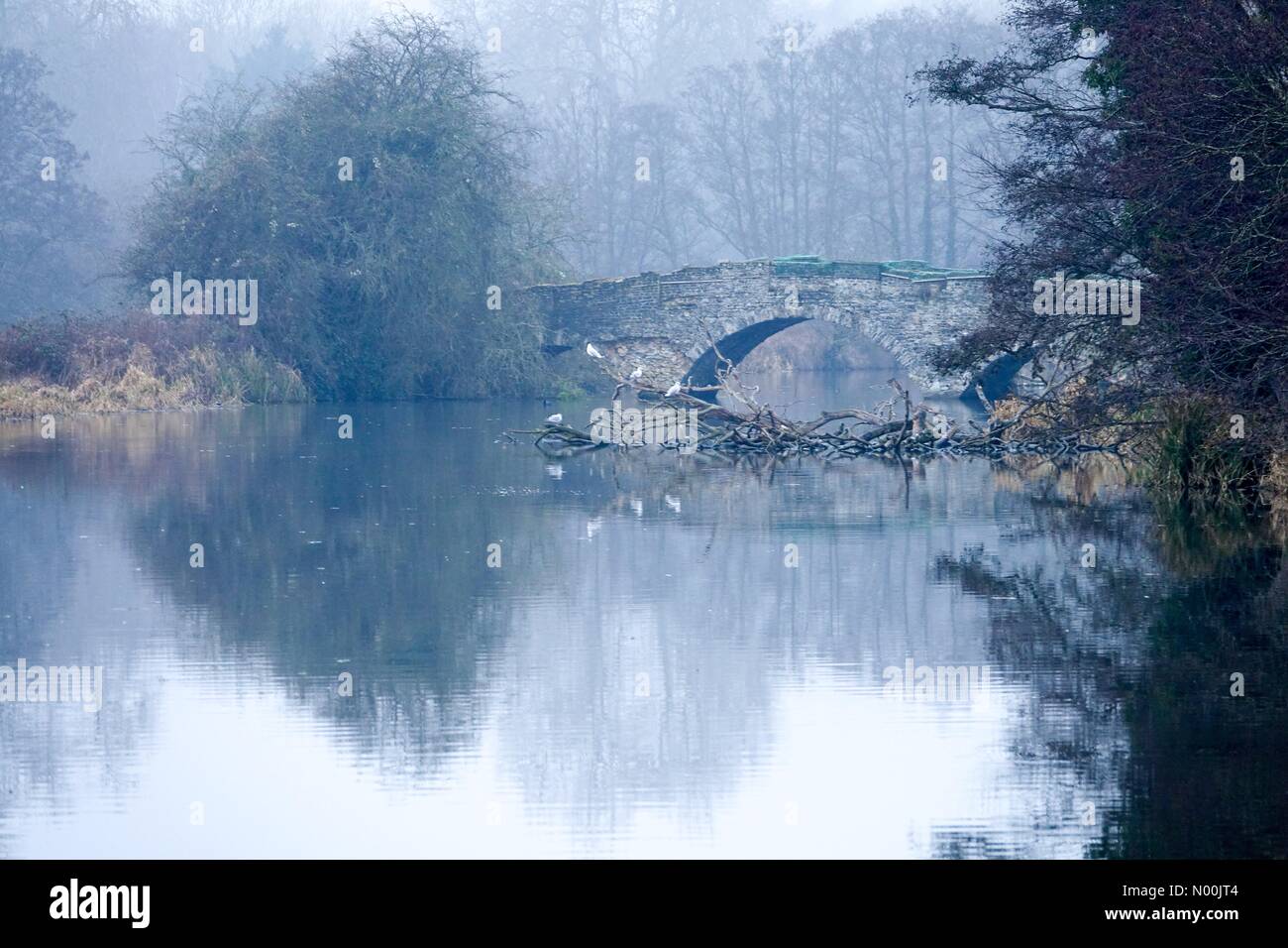 UK Wetter: Eisnebel in Farnham. Waverley Ln, Farnham. 11. Januar 2018. Bitter kalt und noch Bedingungen führten zu der Entwicklung von eisnebel über Nacht. Waverley Abbey Estate in der Nähe von Farnham. Credit: jamesjagger/StockimoNews/Alamy leben Nachrichten Stockfoto