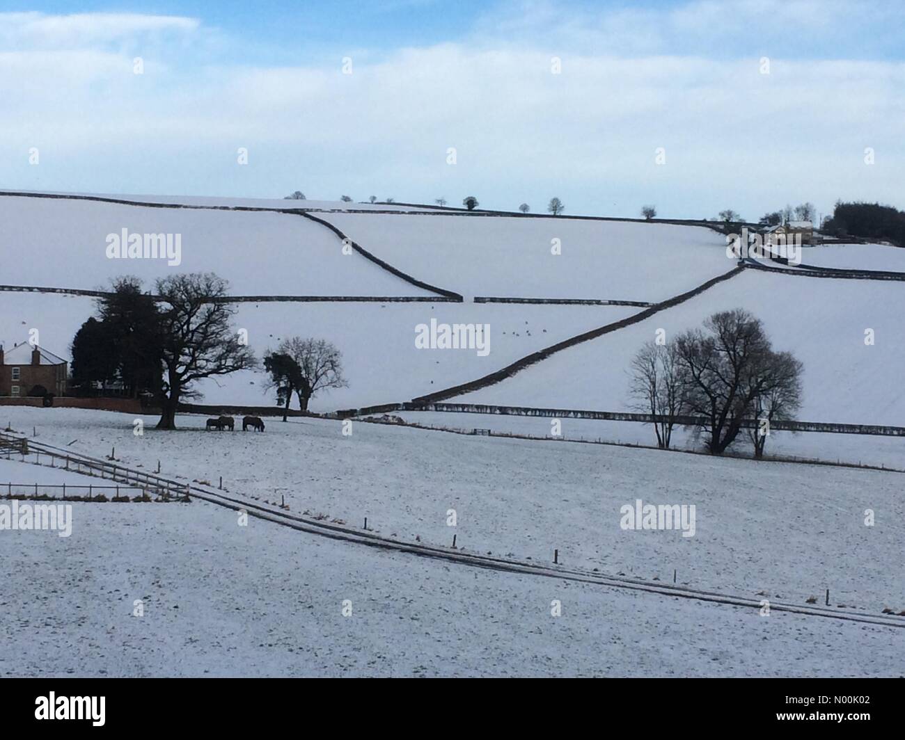 Schnee in North Yorkshire, Howardian Hills bei Easingwold Stockfoto