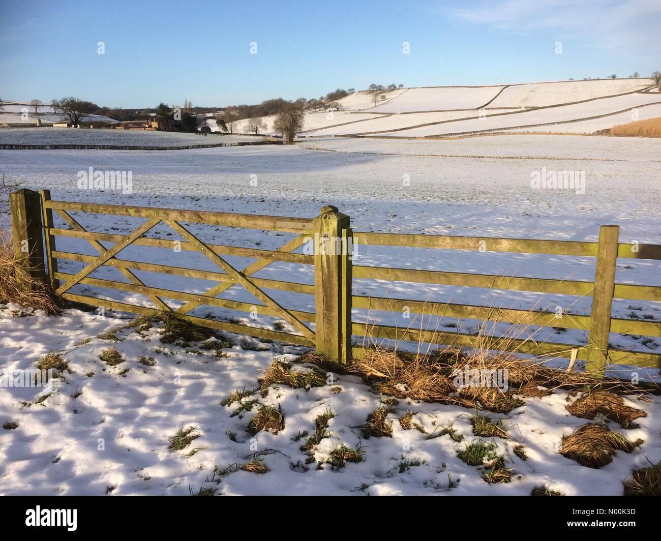 Schnee bedeckt noch Howardian Hills in North Yorkshire in Brandsby, York Stockfoto