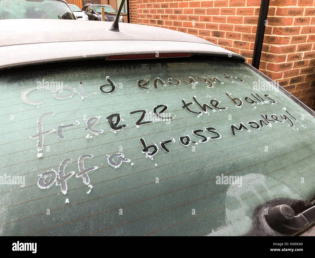 Godalming, Großbritannien. 08 Feb, 2018. UK Wetter: -5 C in Godalming. Sycamore Avenue, Godalming. 08. Februar 2018. Bitter kalt Wetter über die Grafschaften an diesem Morgen. Frosty in Godalming, Surrey. Credit: jamesjagger/StockimoNews/Alamy leben Nachrichten Stockfoto