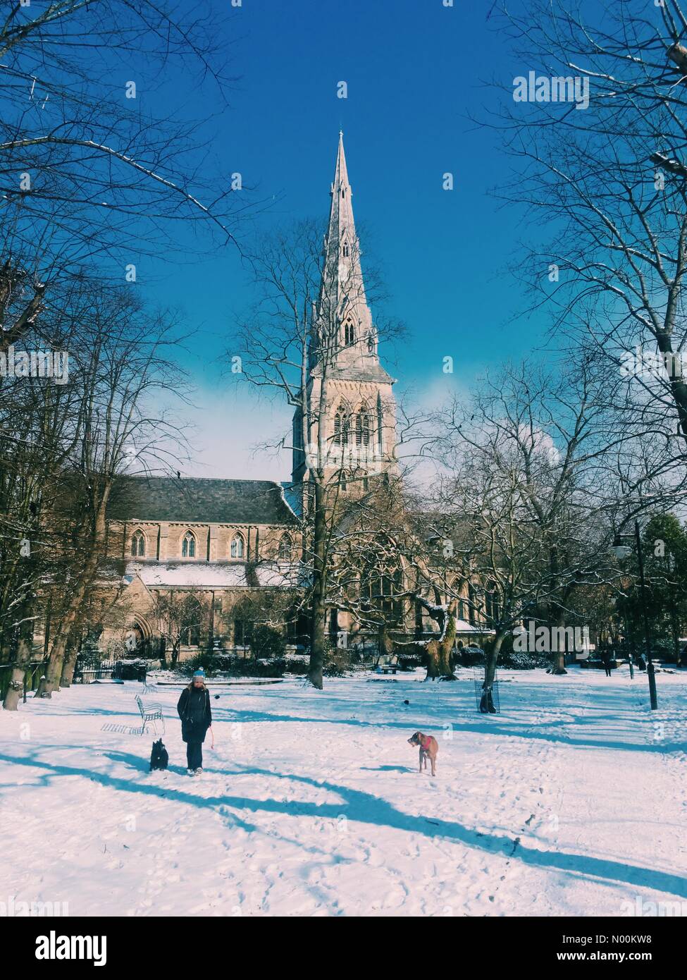 St Giles Kirchhof, Camberwell. 28 Feb, 2018. UK Wetter: Frau gehende Hunde auf einem sonnigen verschneiten Tag in St Giles Kirchhof, Camberwell, London, UK. Credit: Tom Leighton/StockimoNews/Alamy leben Nachrichten Stockfoto