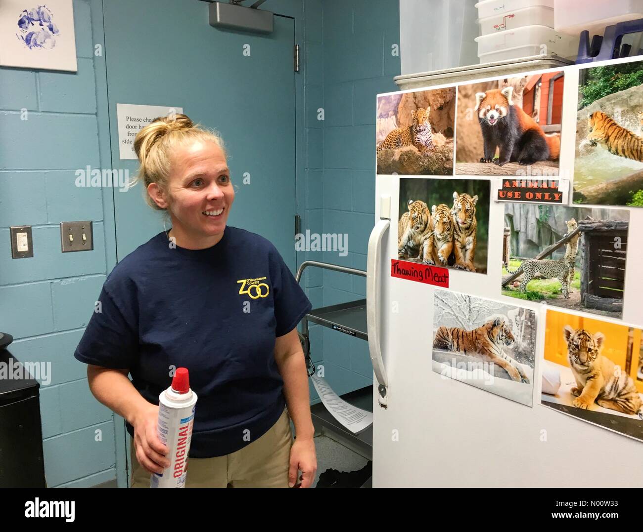 Milwaukee, USA. 27. Juli 2018. Cat Conservation Tag bei Milwaukee County Zoo, 27. Juli 2018, Milwaukee, WI, USA, Zoo Hosts hinter den Kulissen, Bildung, Artwork und Vertrieb für Big Cat Conservation, DianaJ/StockimoNews/Alamy Credit: Diana J./StockimoNews/Alamy leben Nachrichten Stockfoto