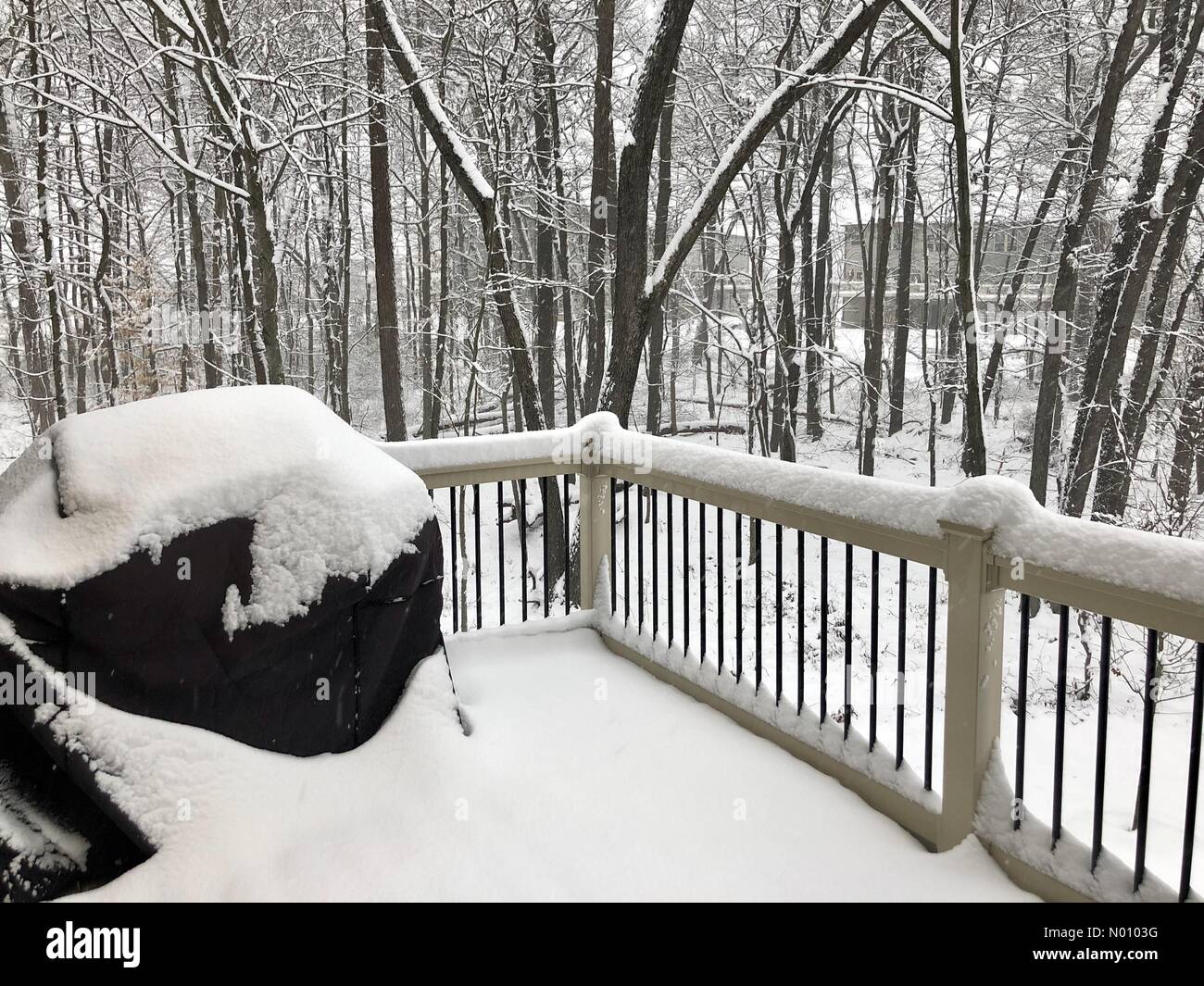 Baltimore, USA. 13. Januar 2019. Wintersturm Gia durch Baltimore, MD, USA. Credit: Jeramey Lende/StockimoNews/Alamy leben Nachrichten Stockfoto