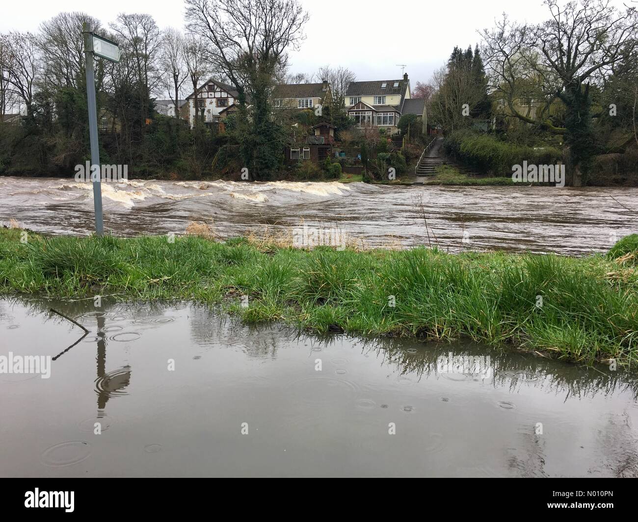 Ilkley, Yorkshire, Großbritannien, 12. März 2019 - Mit Storm Gareth aufgrund später heute nacht Niederschlag hat bereits die River Wharfe in Skipton vollständig bedeckt den Weg der Trittsteine angeschwollen. Credit: Victoria Gardner/StockimoNews/Alamy leben Nachrichten Stockfoto