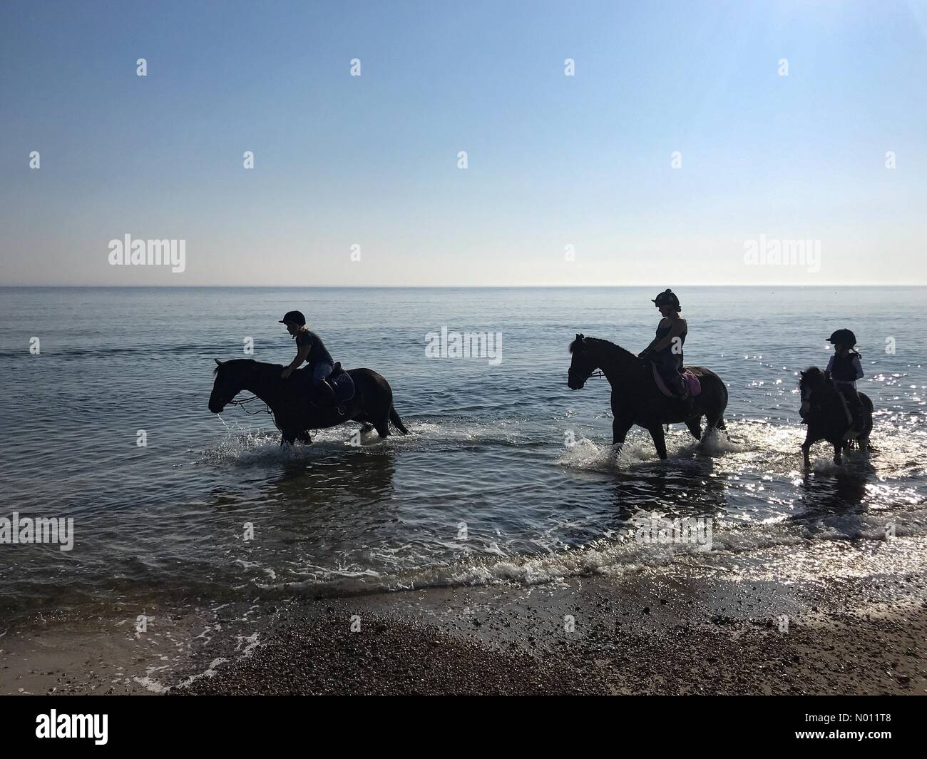 Winterton-on-Sea, Norfolk, Großbritannien. 27 Aug, 2019. UK Wetter. Die lokalen Reiter gehen mit ihren Pferden in die Untiefen des Winterton Strand am frühen Morgen vor dem Tag heiß wird. Credit: Sidney Bruere/StockimoNews/Alamy leben Nachrichten Stockfoto