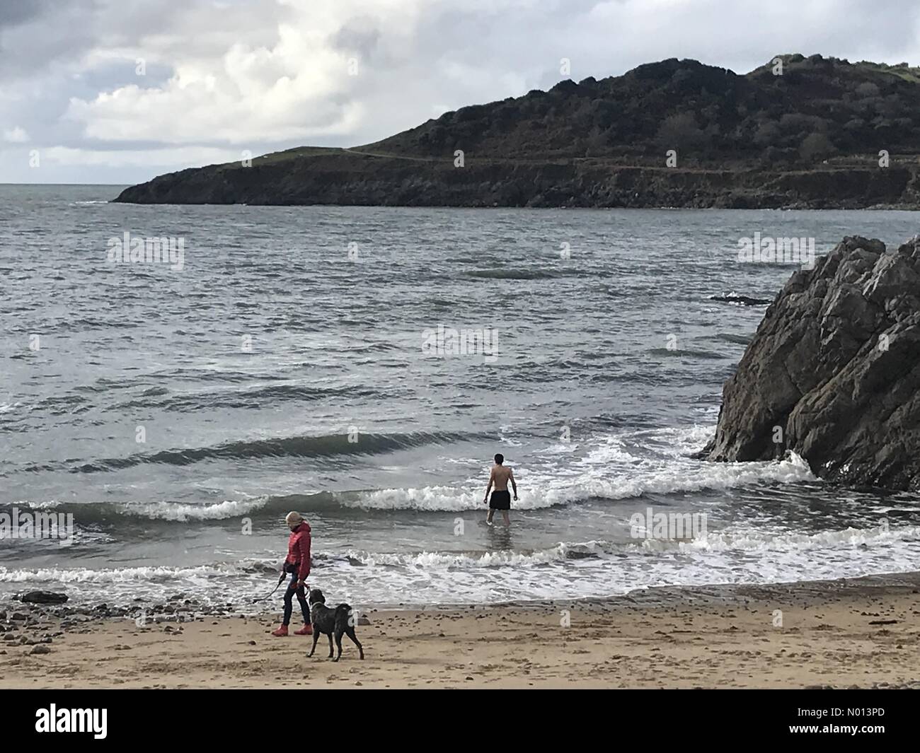 Swansea, Wales. November 2020. Ein Mann geht heute Morgen im milden Herbstwetter in der Rotherslade Bay in der Nähe von Swansea schwimmen. Quelle: Phil Rees/StockimoNews/Alamy Live News Stockfoto