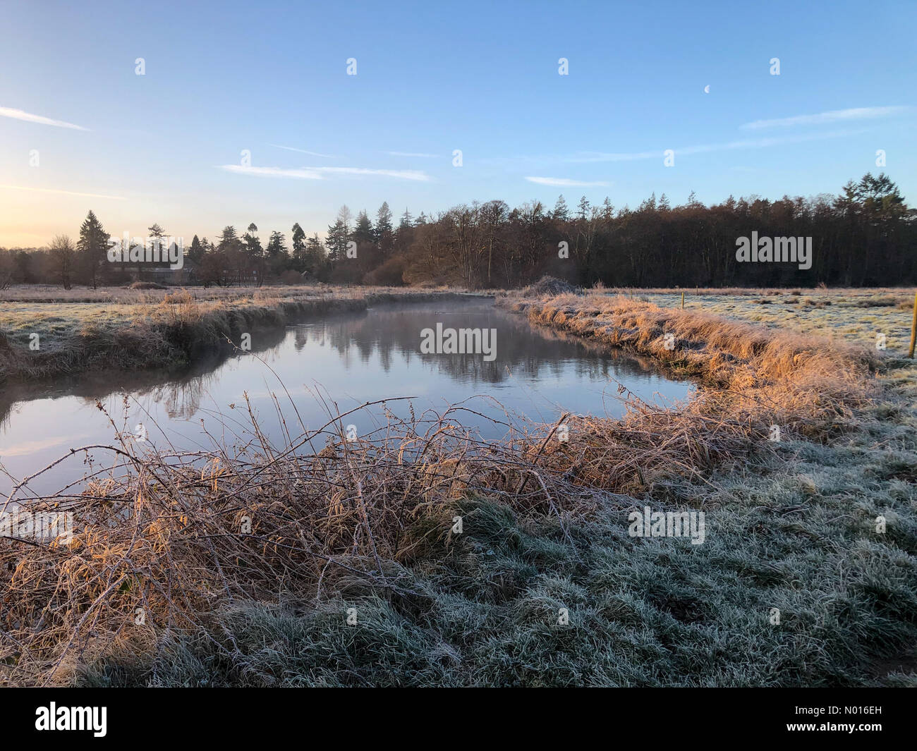 UK Wetter: Frostig in Elstead. Waverley Ln, Elstead. 23rd. Februar 2022. Ein kalter und frostiger Start in den Tag für die Heimatkreise. Frostige Bedingungen entlang des Flusses Wey, Thundry Meadows, Elstead. Kredit: Jamesjagger/StockimoNews/Alamy Live Nachrichten Stockfoto