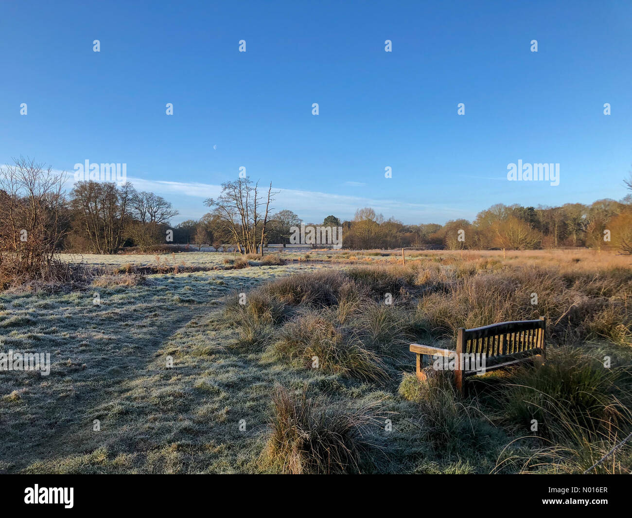 UK Wetter: Frostig in Elstead. Waverley Ln, Elstead. 23rd. Februar 2022. Ein kalter und frostiger Start in den Tag für die Heimatkreise. Frostige Bedingungen entlang des Flusses Wey, Thundry Meadows, Elstead. Kredit: Jamesjagger/StockimoNews/Alamy Live Nachrichten Stockfoto