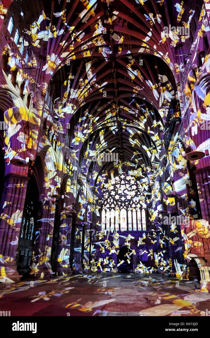 Exeter, Devon, Großbritannien. 22.. März 2022. Die Kathedrale von Exeter erwacht zum Klang und zur Vision von ‘Life' von Luxmuralis. Pressevorschau heute Ausstellung läuft bis Samstag, 26.. März. 22.. März 2022. Credit nidpor/ Alamy Live News Credit: Nidpor/StockimoNews/Alamy Live News Stockfoto