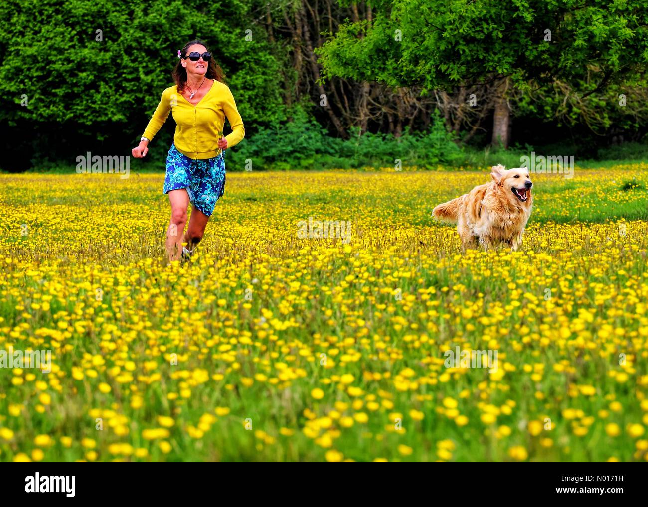 UK Wetter: Raich Keene und Raphael the Retriever spielen in Buttercups in der Nähe von Double Locks, Exeter, Devon, UK. 13. Mai 2022. Credit nidpor/ Alamy Live News Credit: Nidpor/StockimoNews/Alamy Live News Stockfoto