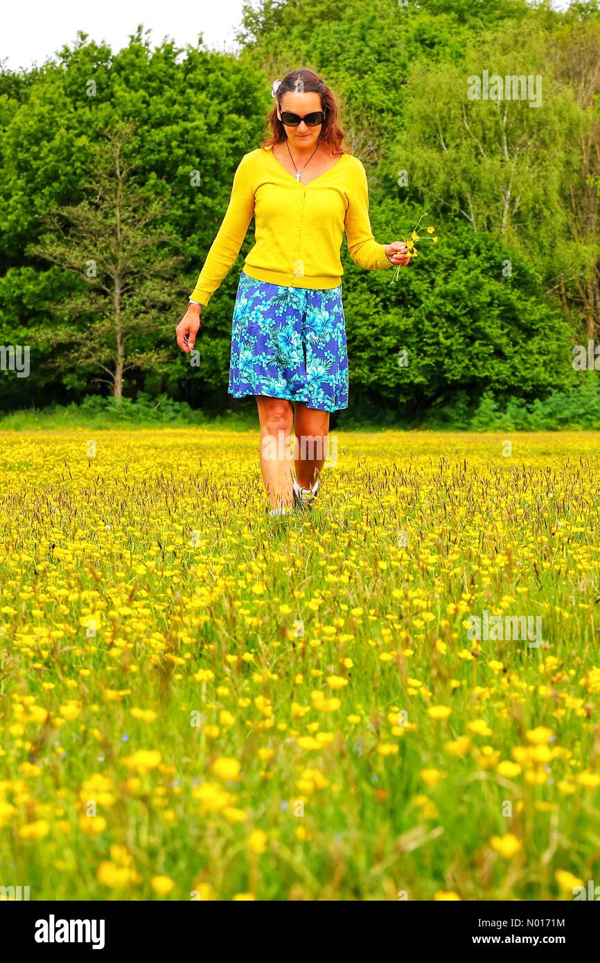 UK Wetter: Raich Keene und Wandern in Butterhüpfern in der Nähe von Double Locks, Exeter, Devon, UK. 13.. Mai 2022. Credit nidpor/ Alamy Live News Credit: Nidpor/StockimoNews/Alamy Live News Stockfoto