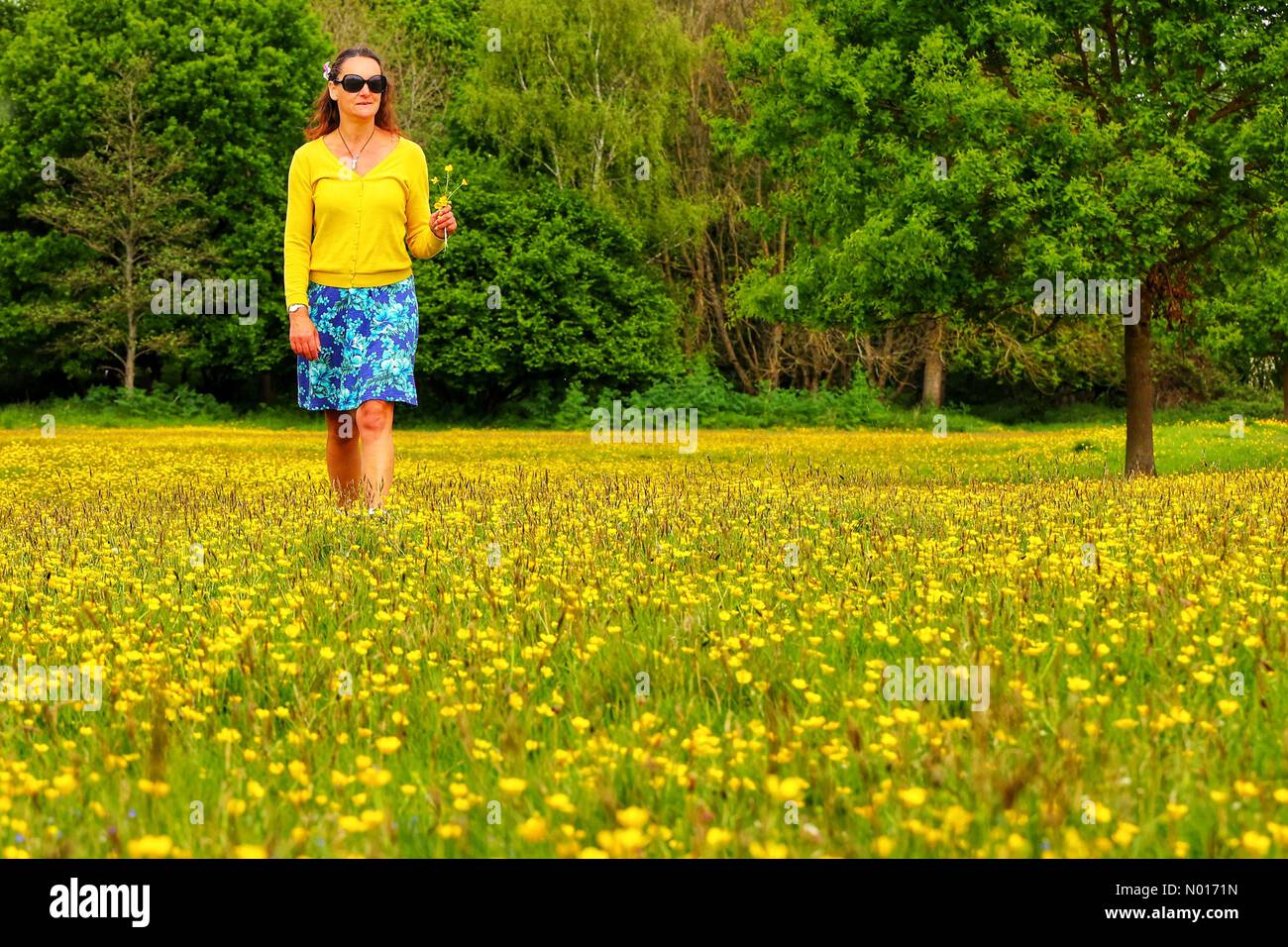 UK Wetter: Raich Keene zu Fuß in Butterhüpfern in der Nähe von Double Locks, Exeter, Devon, UK. 13.. Mai 2022. Credit nidpor/ Alamy Live News Credit: Nidpor/StockimoNews/Alamy Live News Stockfoto