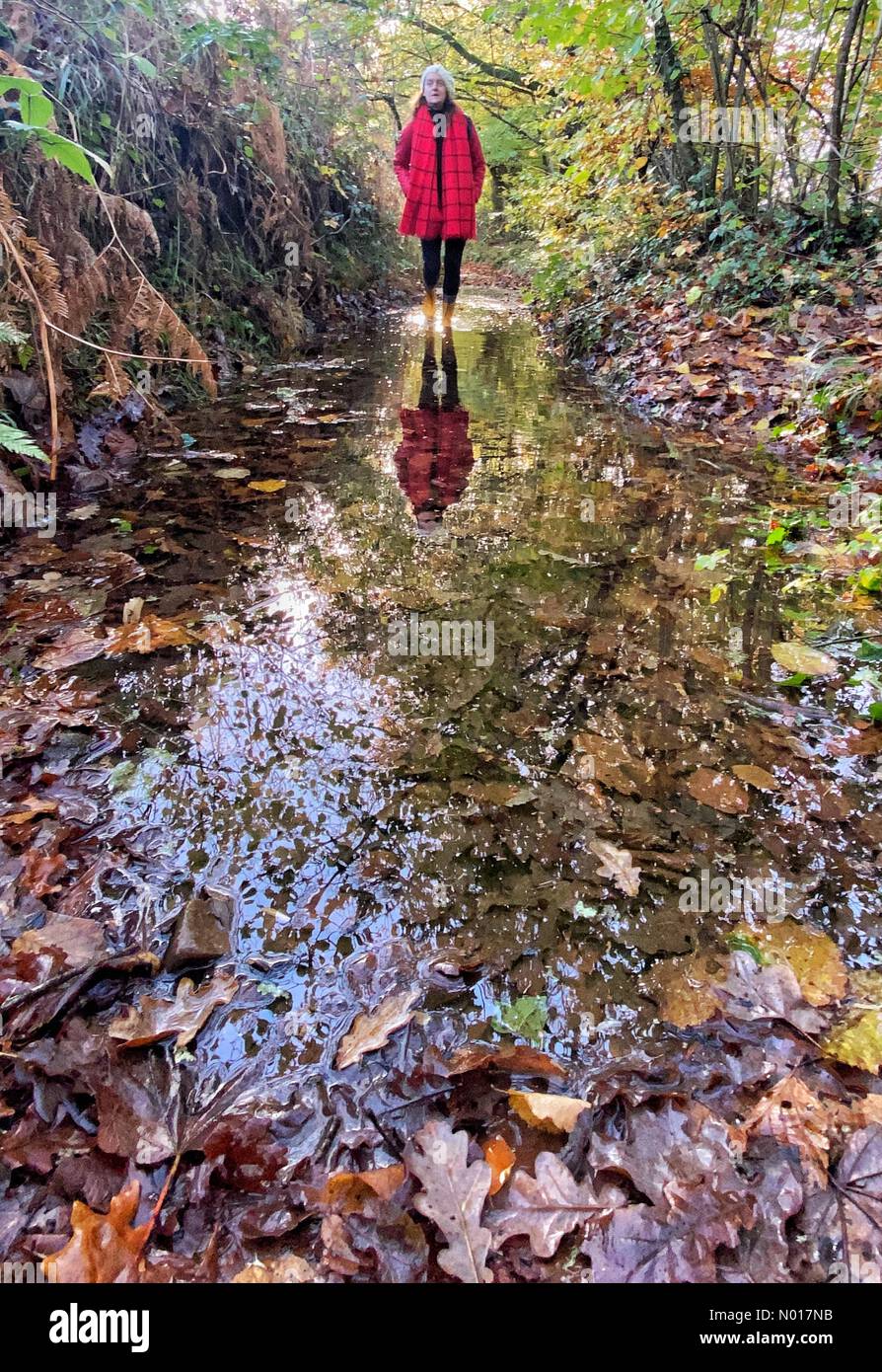 UK Wetter: Raich Keene auf einem nassen herbstlichen Spaziergang durch Pfützen. Lower Ashton, Teign Valley, Devon, Großbritannien. 20. November 2022. Credit nidpor/ Alamy Live News Credit: Nidpor/StockimoNews/Alamy Live News Stockfoto