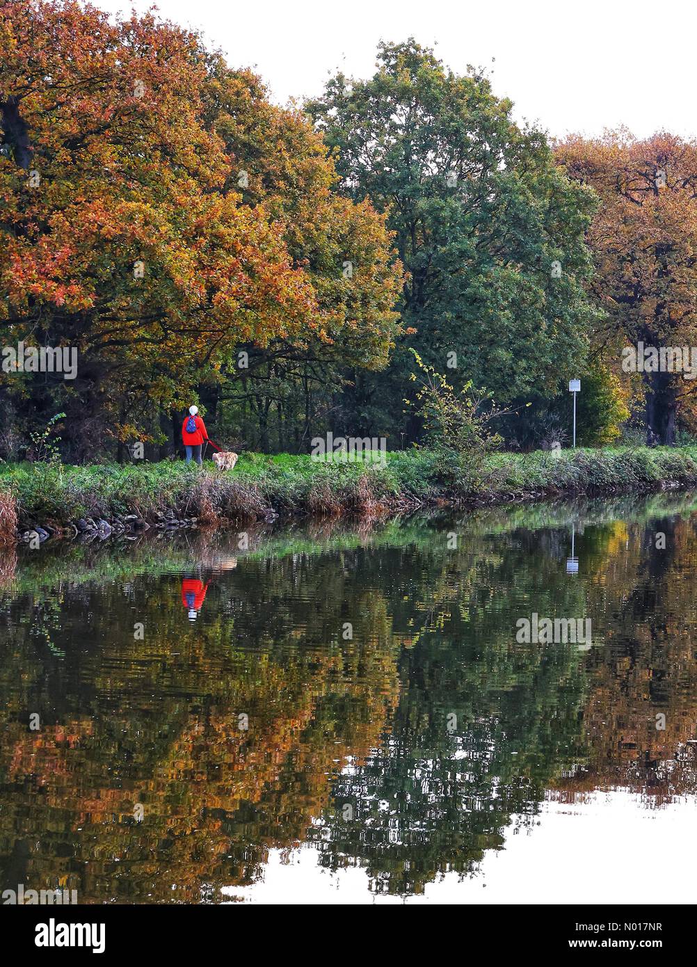 Exeter, Devon, Großbritannien. 30. November 2022. Wetter im Vereinigten Königreich: Überlegungen zum Herbst an einem milden Tag auf dem Kanal des Exeter-Schiffes, Exeter, Devon, Vereinigtes Königreich. 30. November 2022. Credit nidpor/Alamy Live News Credit: Nidpor/StockimoNews/Alamy Live News Stockfoto