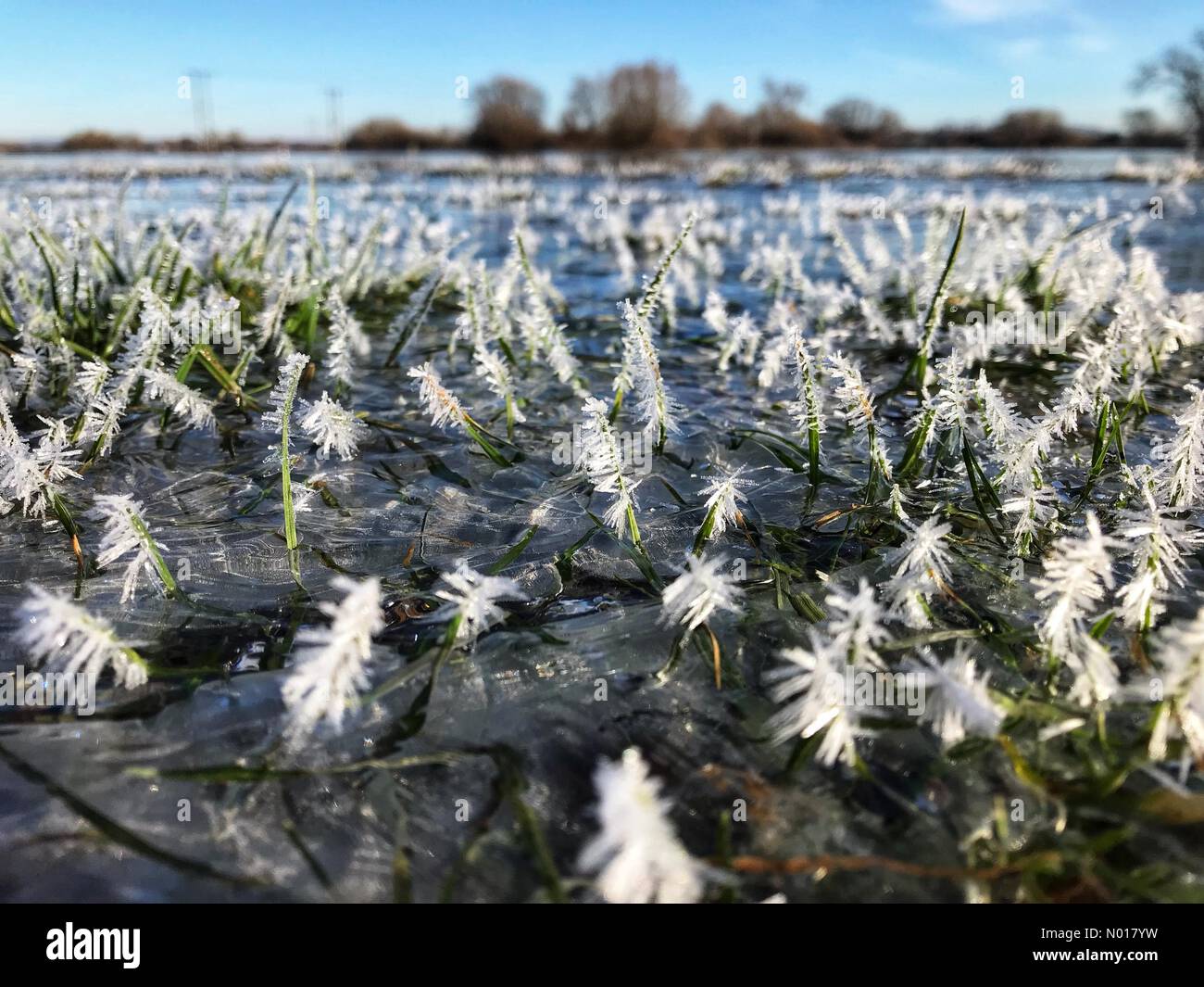 UK Weather - Ice in Herefordshire - Lugg Meadows Hereford Herefordshire - Dienstag, 17. Januar 2023 - Frozen Ice Kristalle auf Hochwasser des Flusses Lugg bei Hereford. Die Temperaturen fielen auf -7c Stockfoto