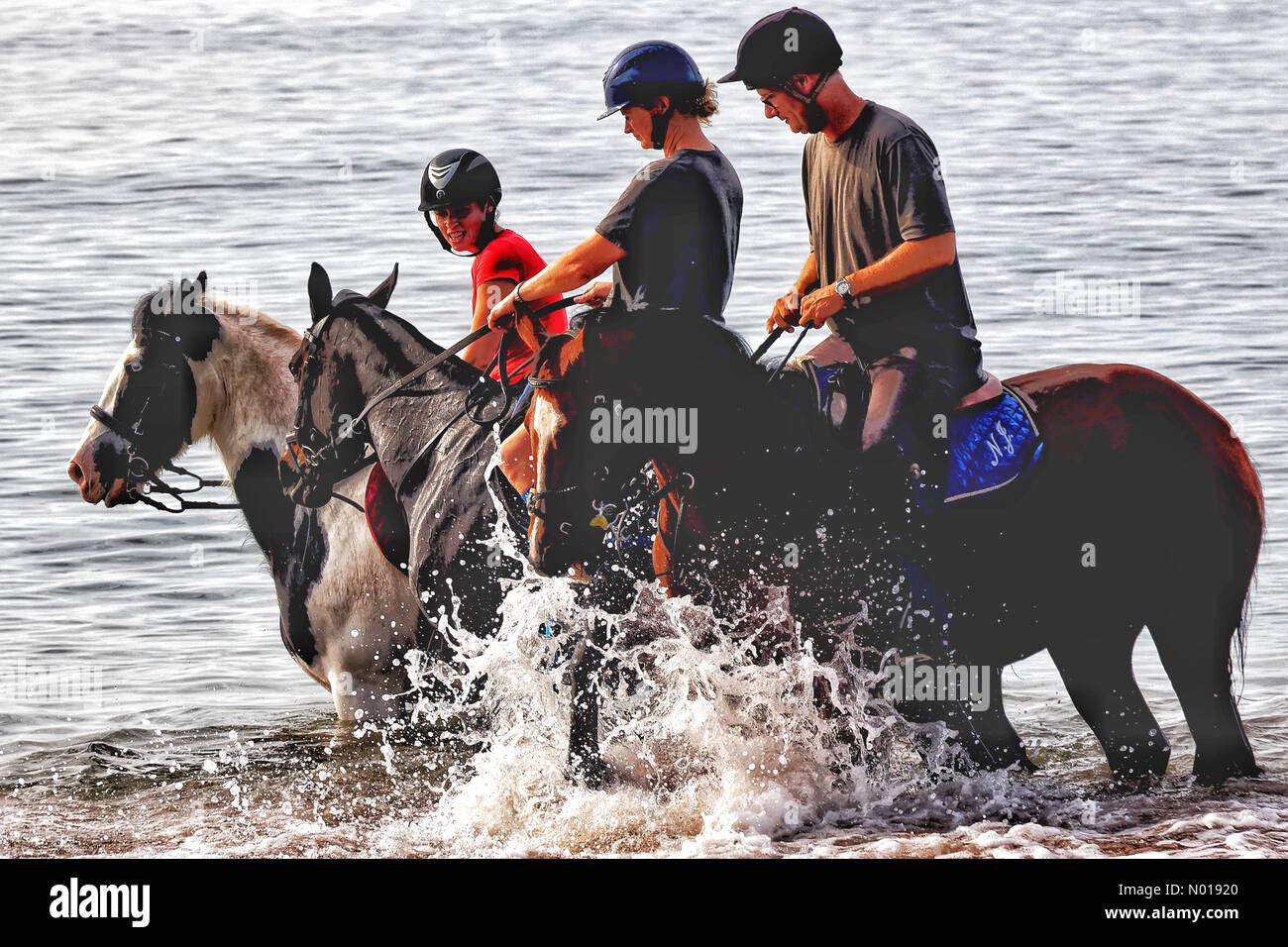 Wetter in Großbritannien: Pferdeübung am Exmouth Beach an einem warmen sonnigen Morgen. Exmouth, Devon, Großbritannien. 8. September 2023. Credit nidpor Credit: Nidpor/StockimoNews/Alamy Live News Stockfoto