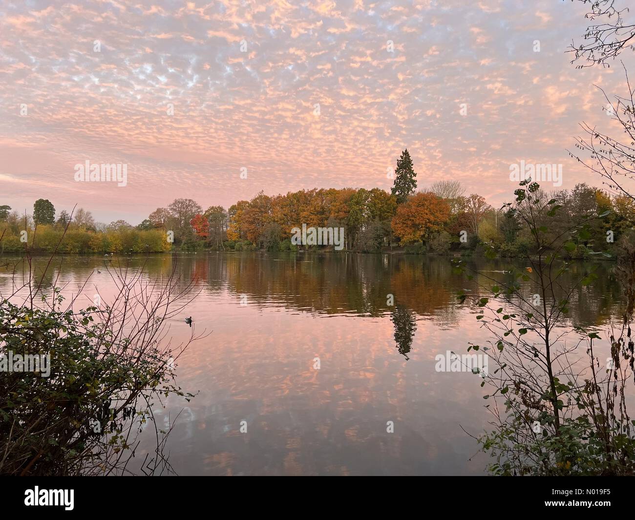 Wetter in Großbritannien: Sonnenaufgang über Godalming. Broadwater Lake, Godalming. November 2023. Ein heller, aber kalter Start in den Tag für die Home Counties. Sonnenaufgang über dem Broadwater Lake in Godalming, Surrey. Quelle: Jamesjagger/StockimoNews/Alamy Live News Stockfoto