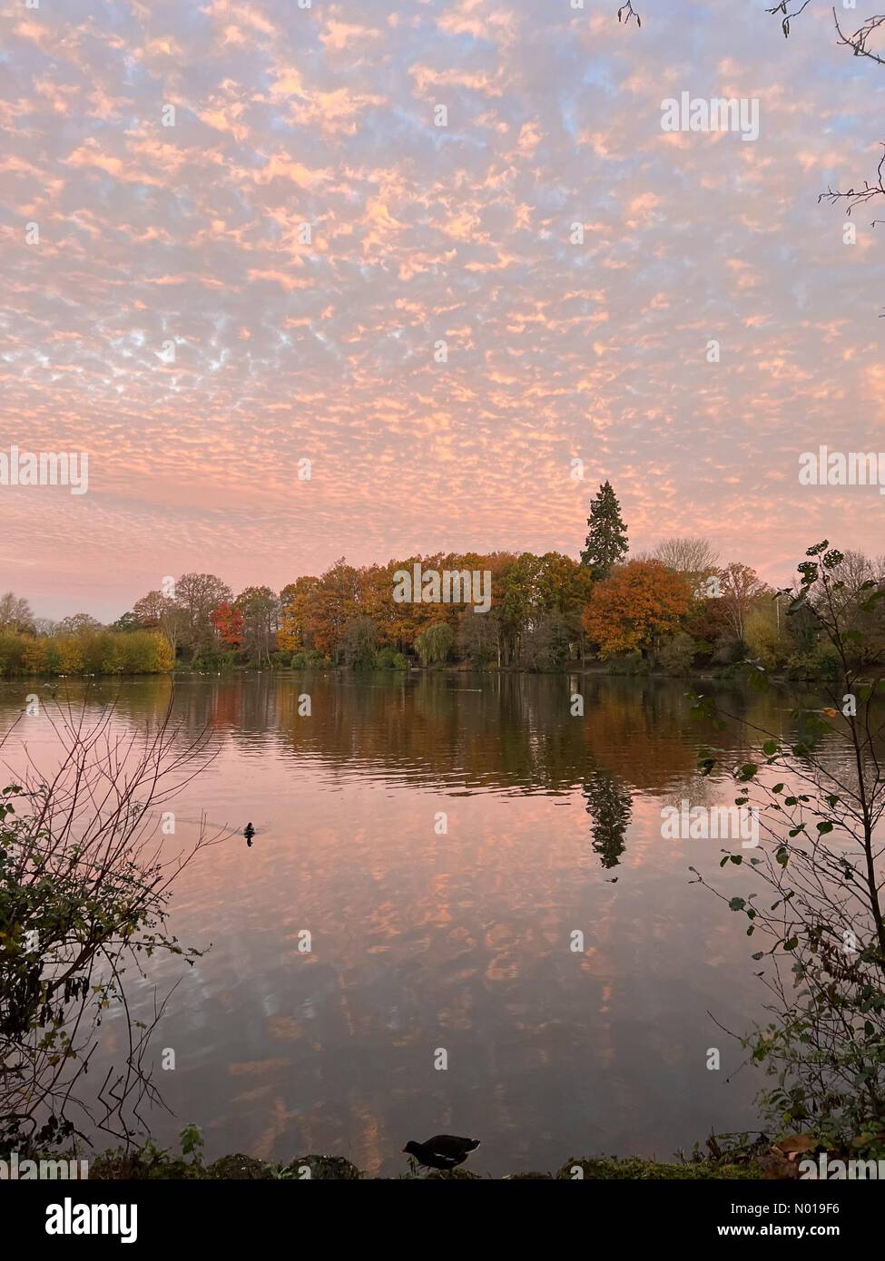 Wetter in Großbritannien: Sonnenaufgang über Godalming. Broadwater Lake, Godalming. November 2023. Ein heller, aber kalter Start in den Tag für die Home Counties. Sonnenaufgang über dem Broadwater Lake in Godalming, Surrey. Quelle: Jamesjagger/StockimoNews/Alamy Live News Stockfoto