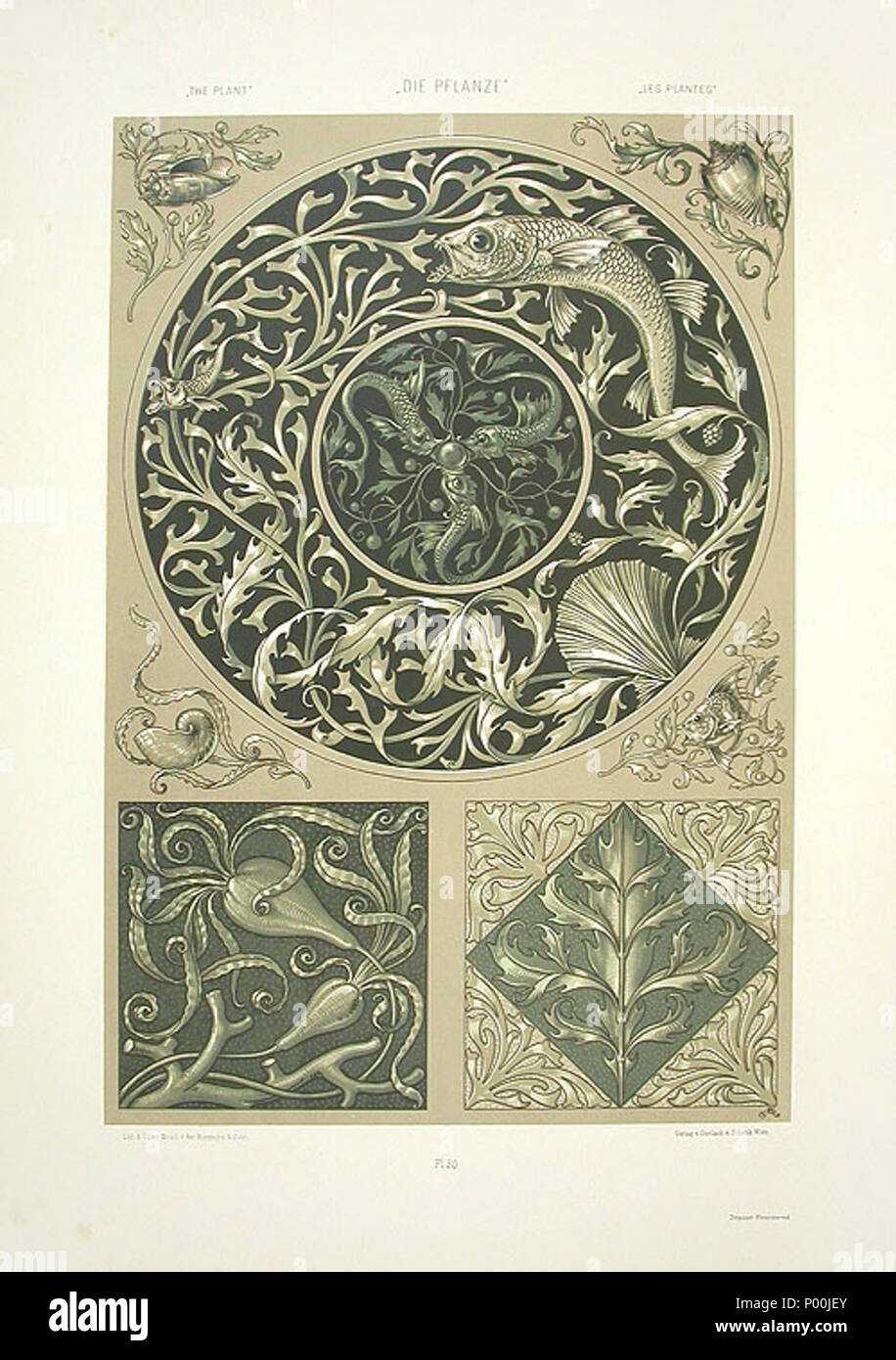 . Englisch: Lithograpgy von Anton Seder (1850-1916), Jugendstil Drucken 1890, Titel: Nautilus Shell & Karpfen English: Lithogafie von Anton Seder aus dem Jahr 1890, Jugendstil, Titel: Nautilus, Muschel- und Karpfen. 3 November 2008, 11:26:35. Anton Seder 370 Anton Seder Meeresschnecke Karpfen Stockfoto