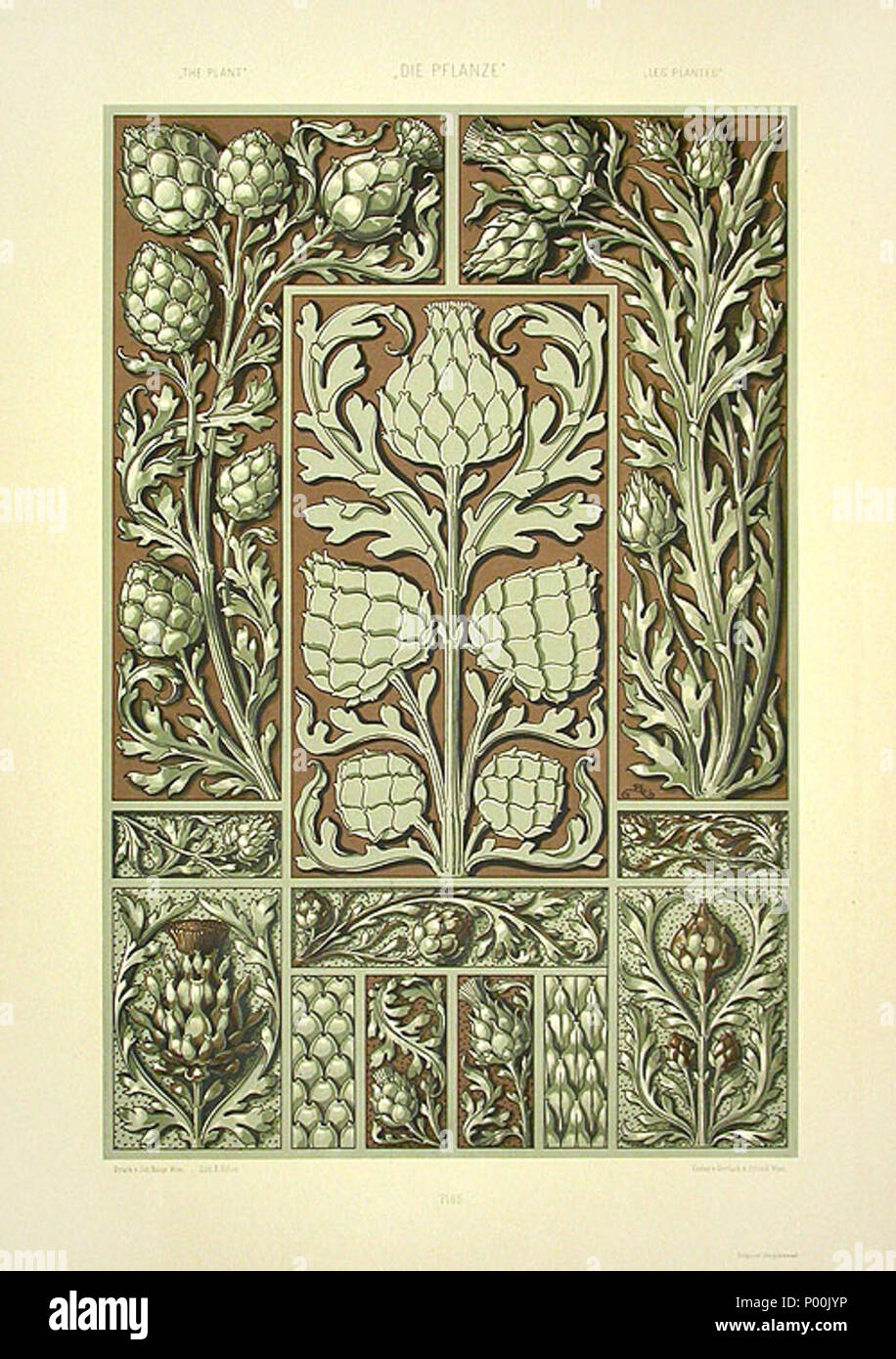 . Englisch: Lithographie von Anton Seder (1850-1916), Art Noveau Drucken 1890, Titel: Disteln. 4 November 2008, 09:45:50. Anton Seder 370 Anton Seder Disteln 2 Stockfoto
