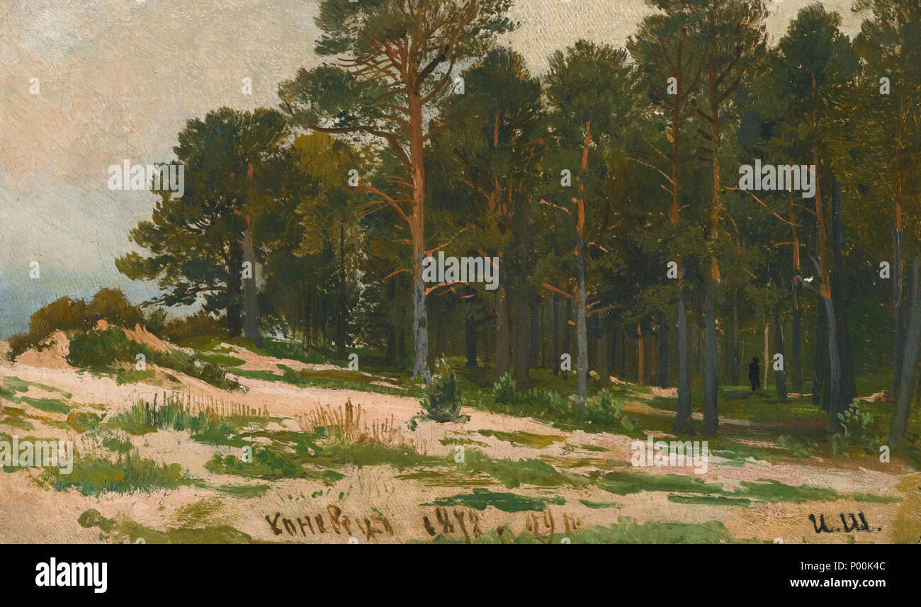 . Englisch: Kiefernwald. Kiefernwald. 1872 83 Kiefernwald (shishkin) Stockfoto