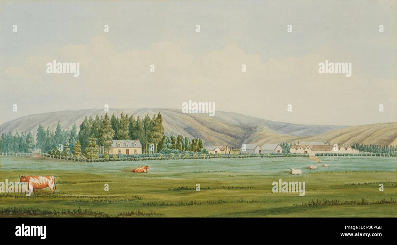 . Tapanui Homestead 97 Tapanui Homestead von Samuel Edwy Grün Stockfoto