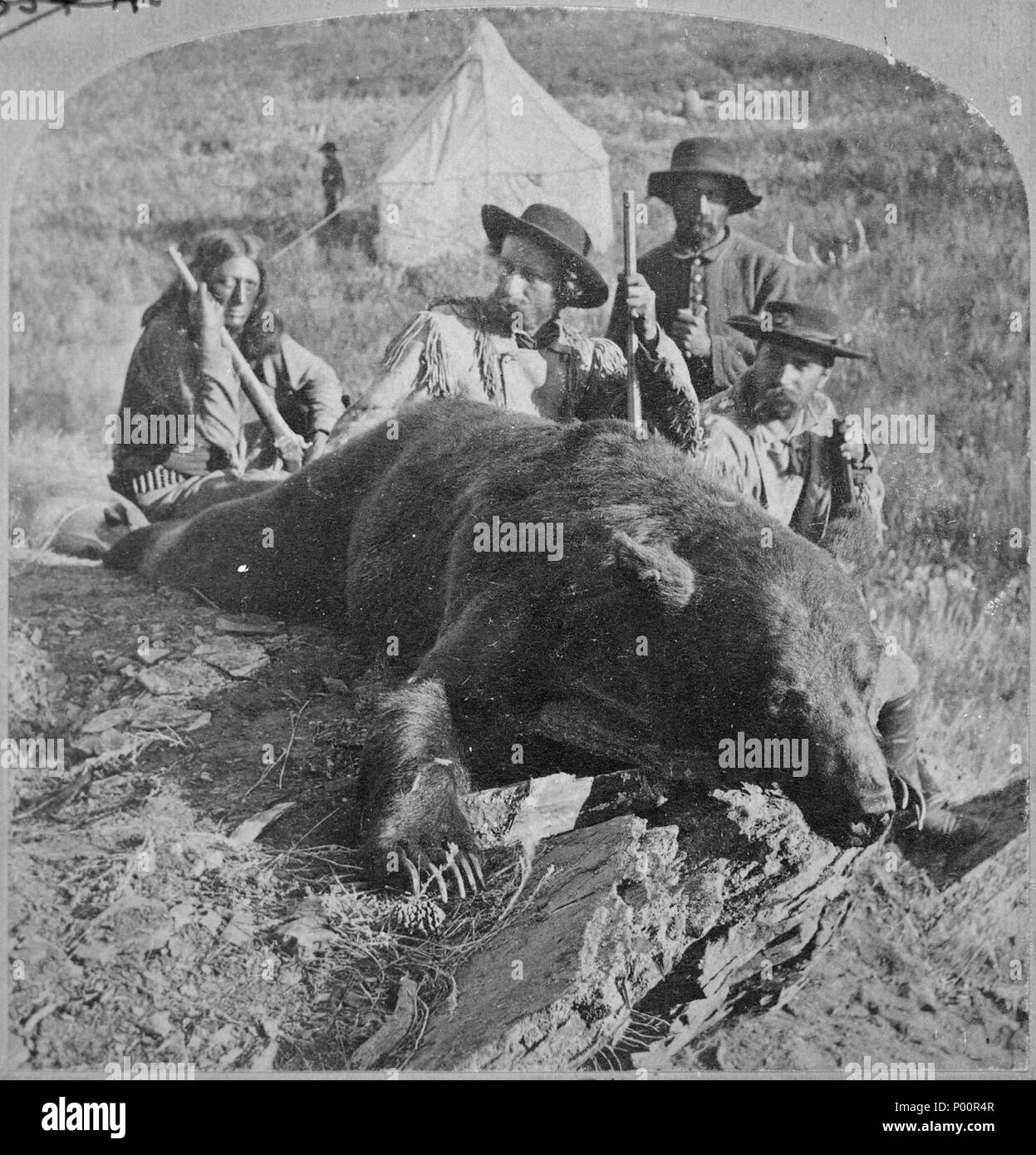 Unsere erste Grizzly, getötet durch General Custer und Colonel Ludlow. Von Illingworth, 1874, während der Black Hills Expedition - Stockfoto