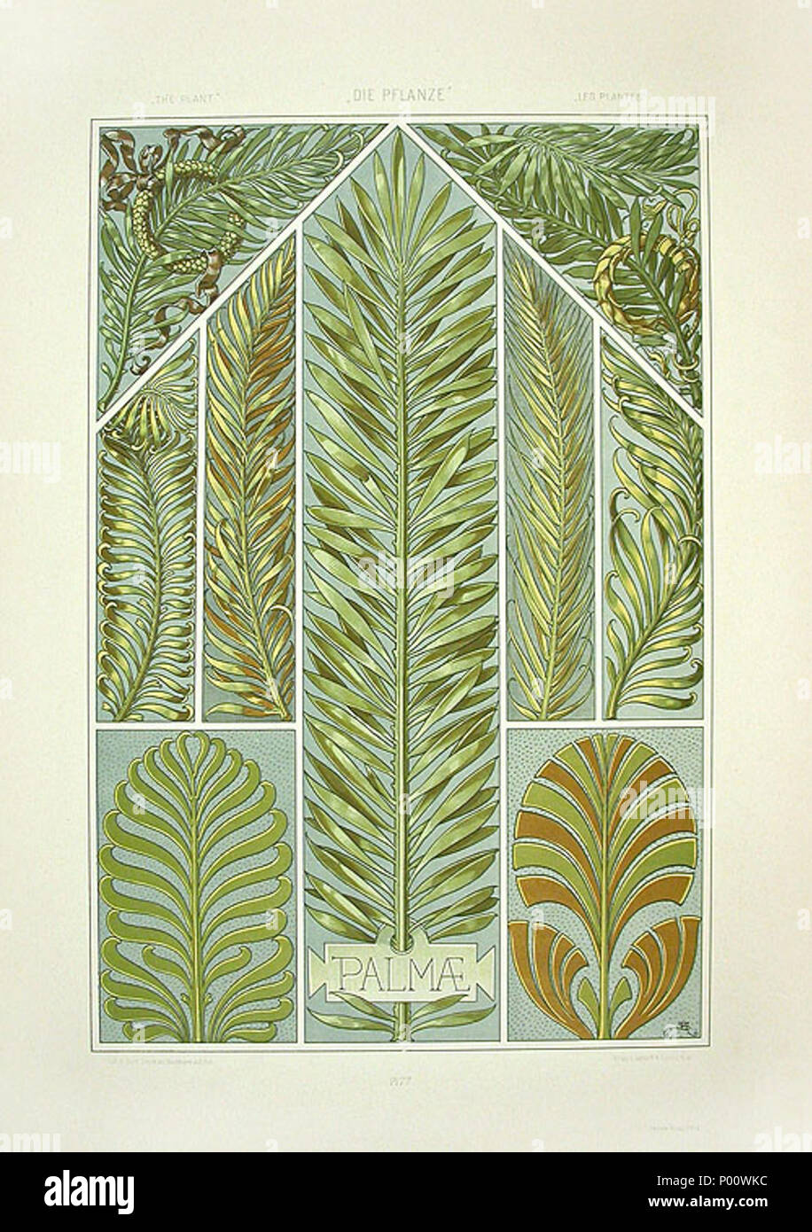 . Englisch: Lithographie von Anton Seder (1850-1916), Art Noveau Drucken 1890, Titel: Palmwedel. 3 November 2008, 11:35:44. Anton Seder 370 Anton Seder Palmwedel Stockfoto