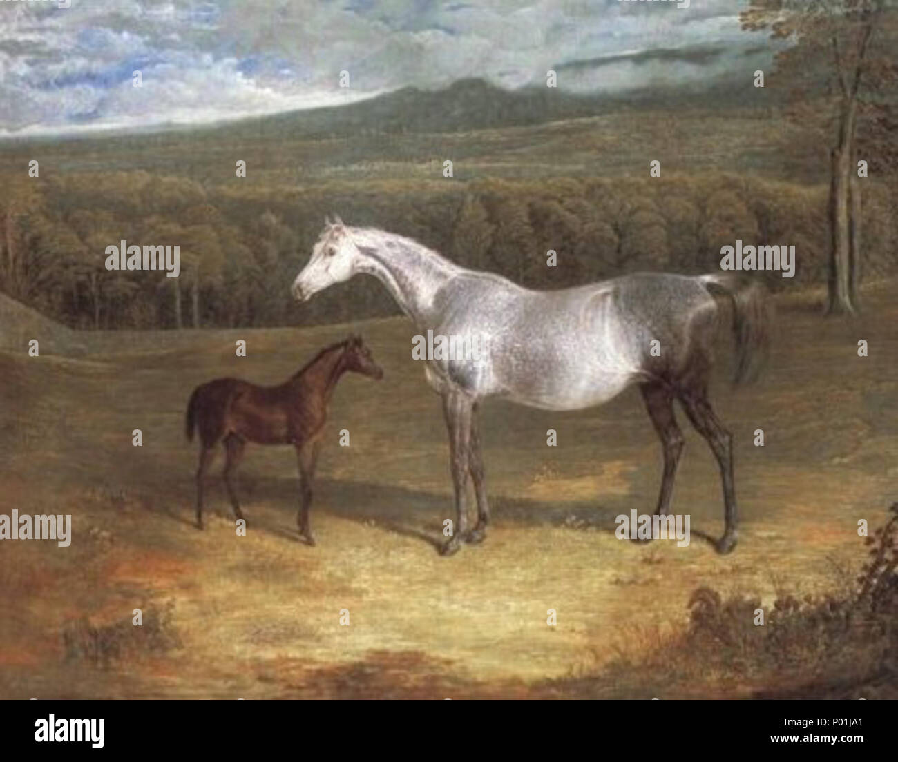 . Jack Zapfen (Sieger 1821 St. Leger) als Fohlen mit seiner Pflegemutter. 1818. John-F.-Hering (d. 1865) 11 Jack Zapfen und Pflegemutter Stockfoto