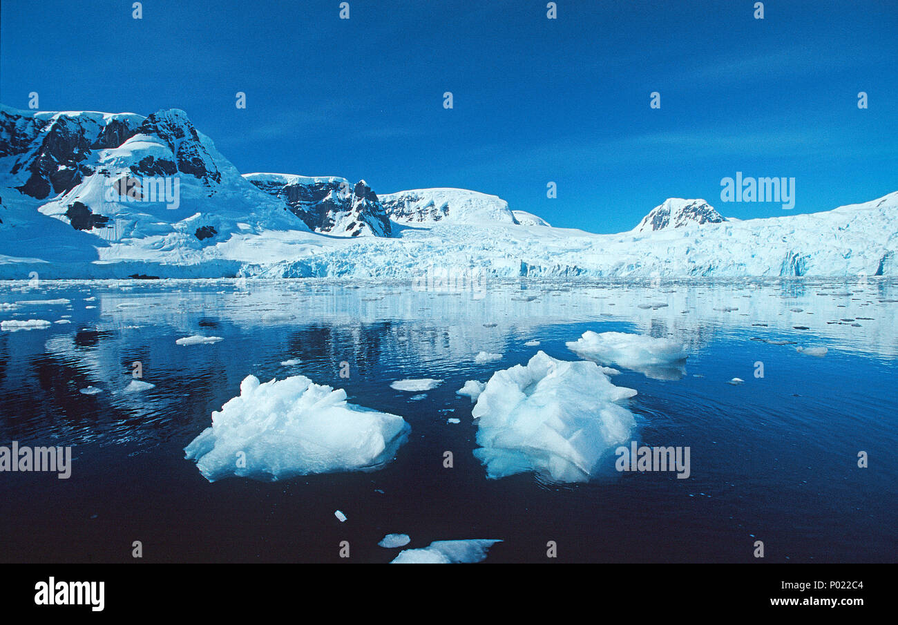 Treibende Eisschollen in der Paradise Bay, Antarktische Halbinsel, Antarktis | Treibeis im Paradise Bay, Halbinsel Antarktis, Antarktis Stockfoto