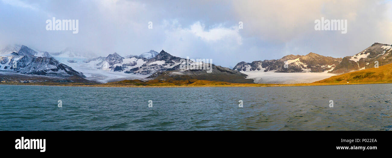 Gletscher und Berge, Suedgeorgien schneebeckte | Gletscher und schneebedeckte Berge, South Georgia Island, Sub Antarktis Stockfoto