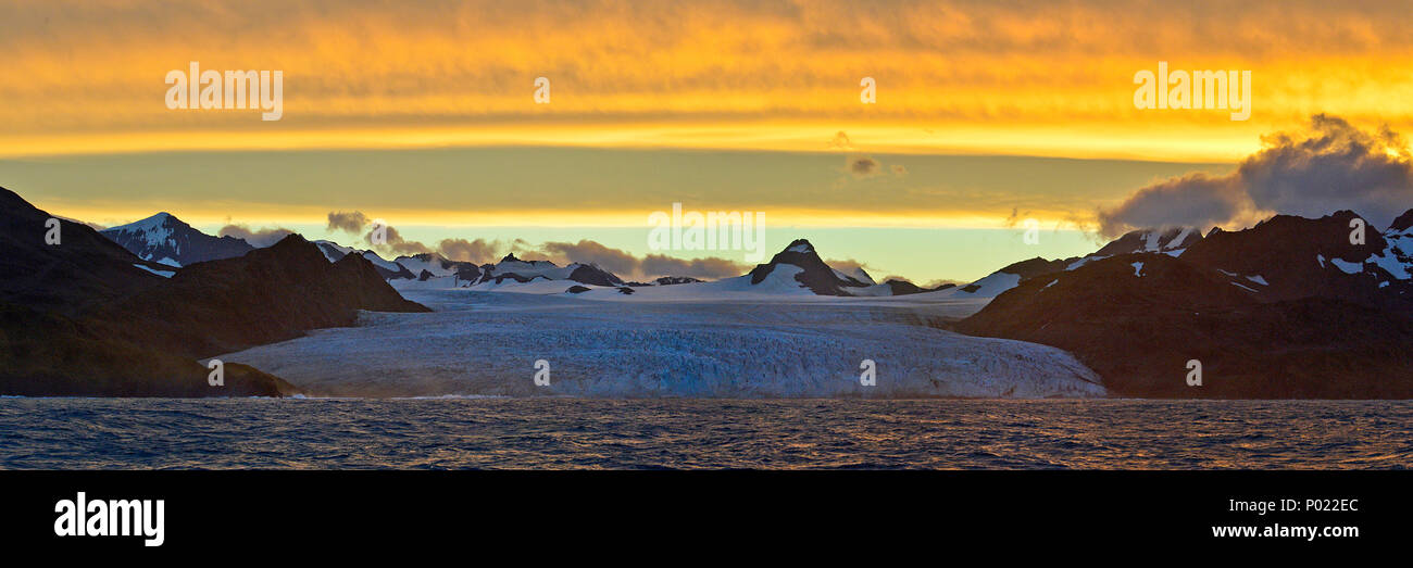 Abendstimmung, Gletscher und Berge, Suedgeorgien schneebeckte | Sonnenuntergang, Gletscher und schneebedeckte Berge, South Georgia Island, Sub Antarktis Stockfoto