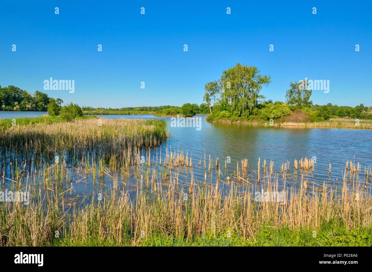 Schöne ländliche Landschaft. Frühling über einen schönen Teich. Stockfoto