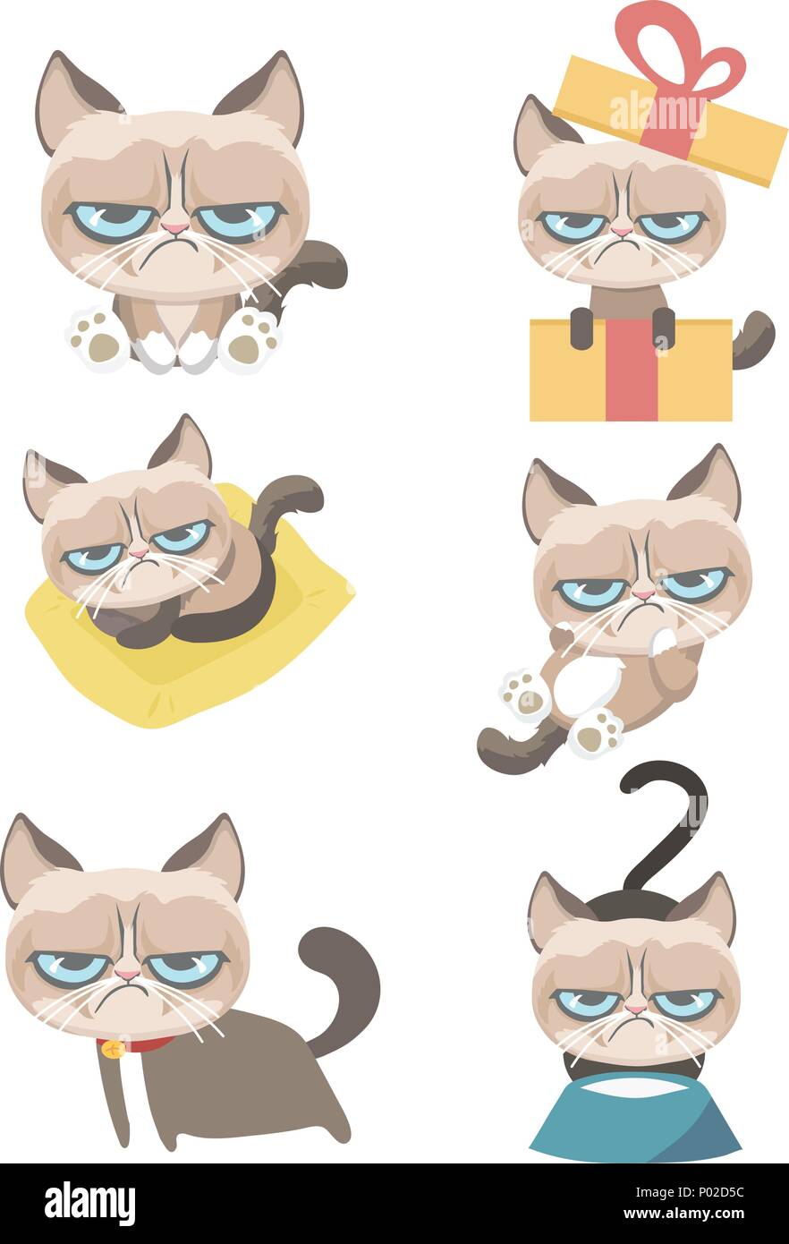 Lustige Vektor einrichten von grumpy Katze. Stock Vektor