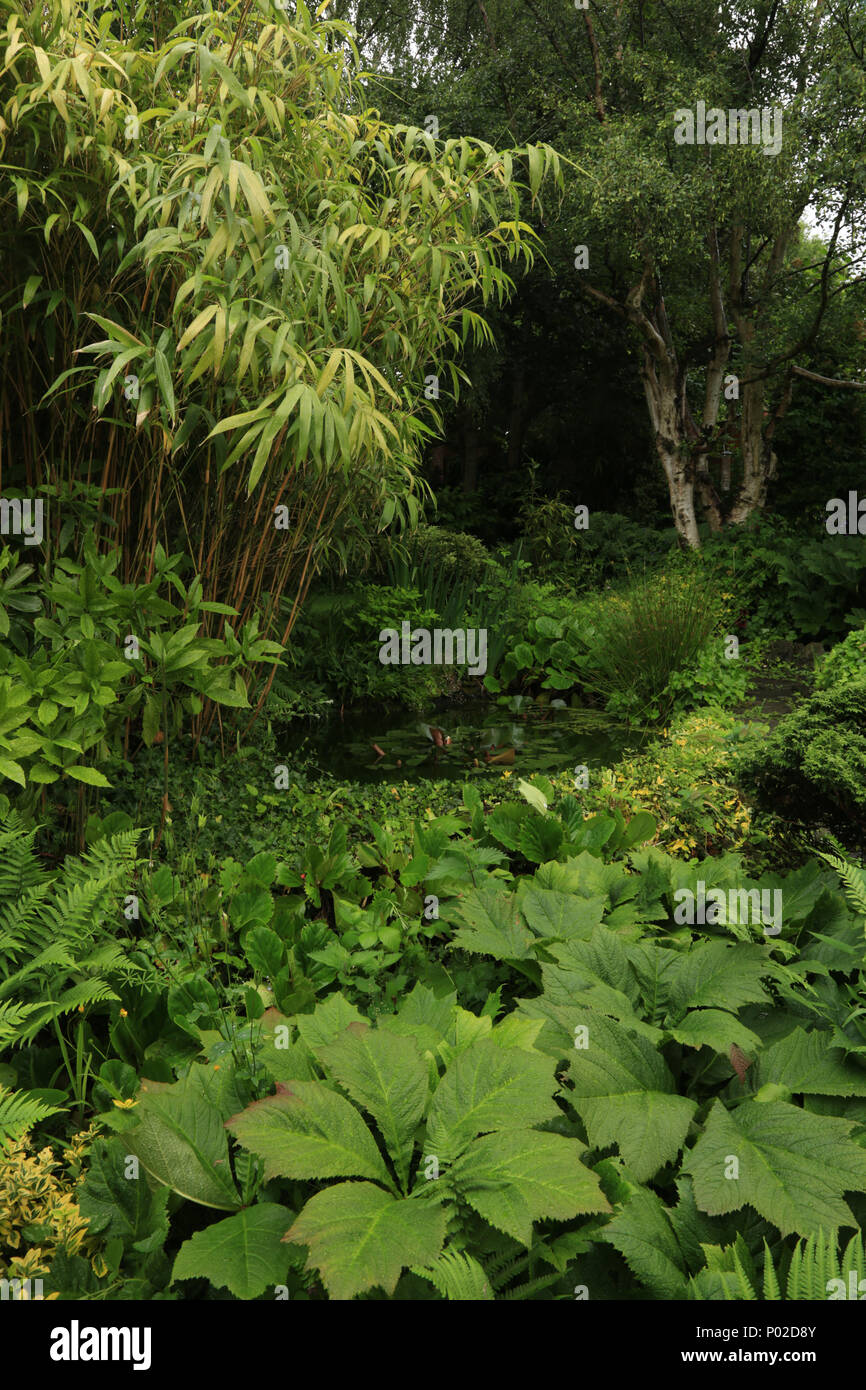Ein Wildlife freundlich Garten in den West Midlands, England, Großbritannien. Stockfoto