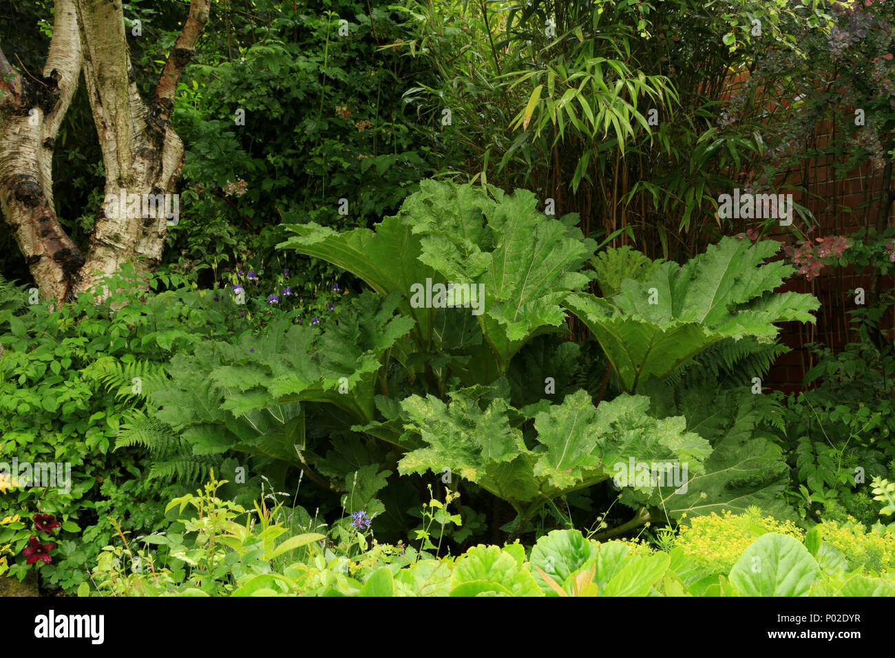 Ein Wildlife freundlich Garten in den West Midlands, England, Großbritannien. Stockfoto